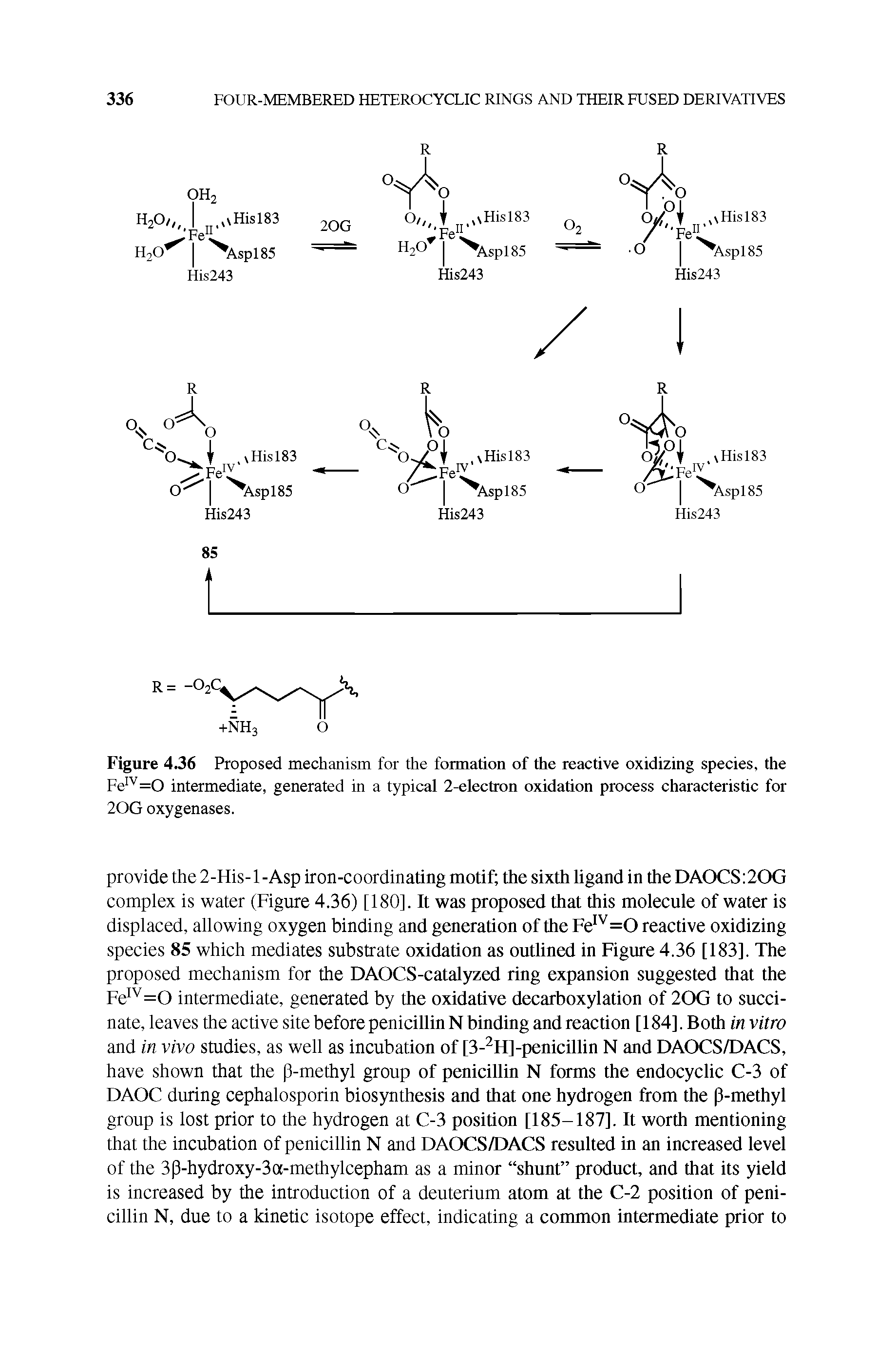 Figure 4.36 Proposed mechanism for the formation of the reactive oxidizing species, the Fe v=o intermediate, generated in a typical 2-electron oxidation process characteristic for 20G oxygenases.