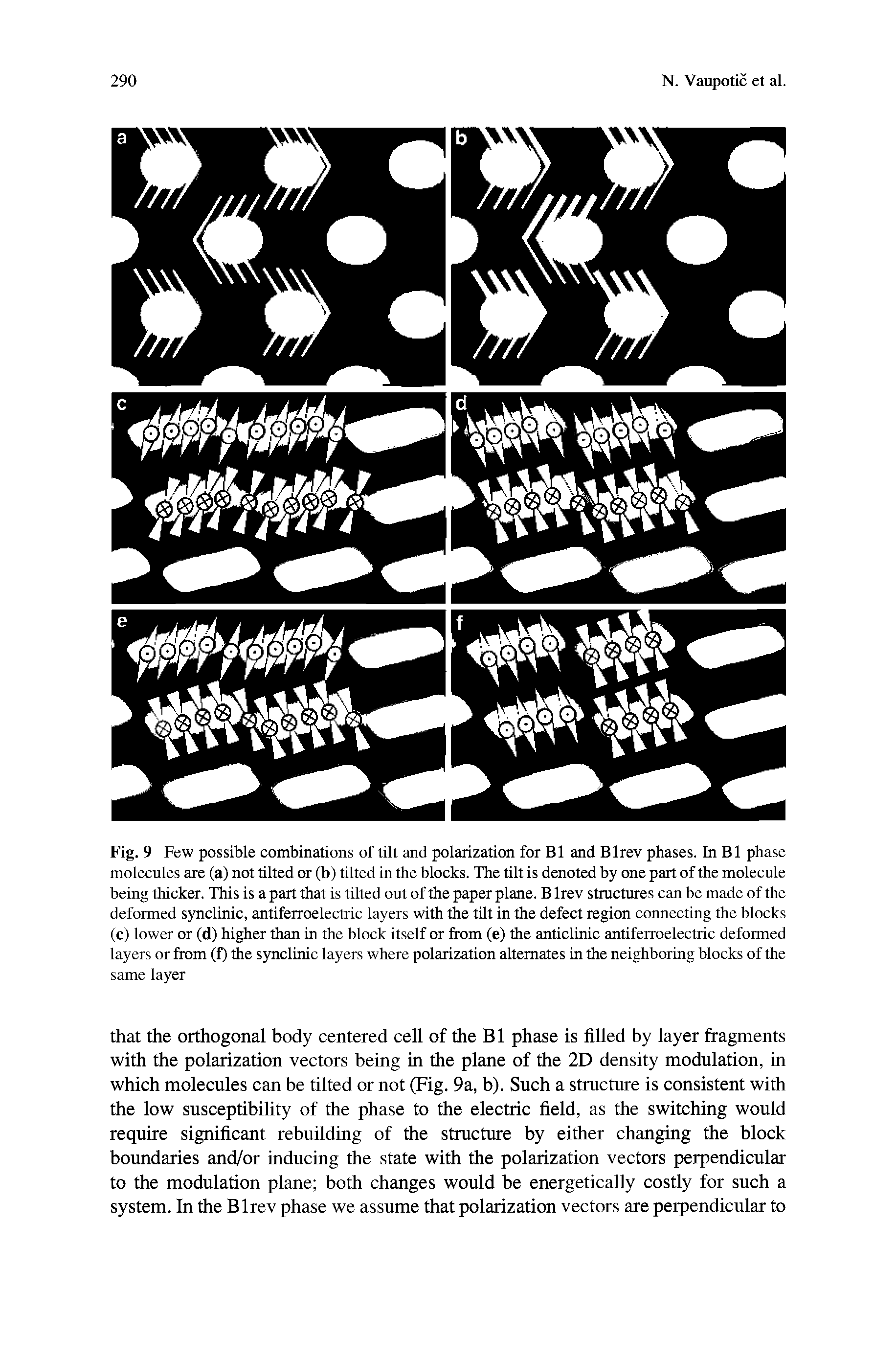 Fig. 9 Few possible combinations of tilt and polarization for B1 and Blrev phases. In B1 phase molecules are (a) not tilted or (b) tilted in the blocks. The tilt is denoted by one part of the molecule being thicker. This is a part that is tilted out of the paper plane. B lrev structures can be made of the deformed synclinic, antiferroelectric layers with the tilt in the defect region connecting the blocks (c) lower or (d) higher than in the block itself or from (e) the anticlinic antiferroelectric deformed layers or from (f) the synclinic layers where polarization alternates in the neighboring blocks of the same layer...