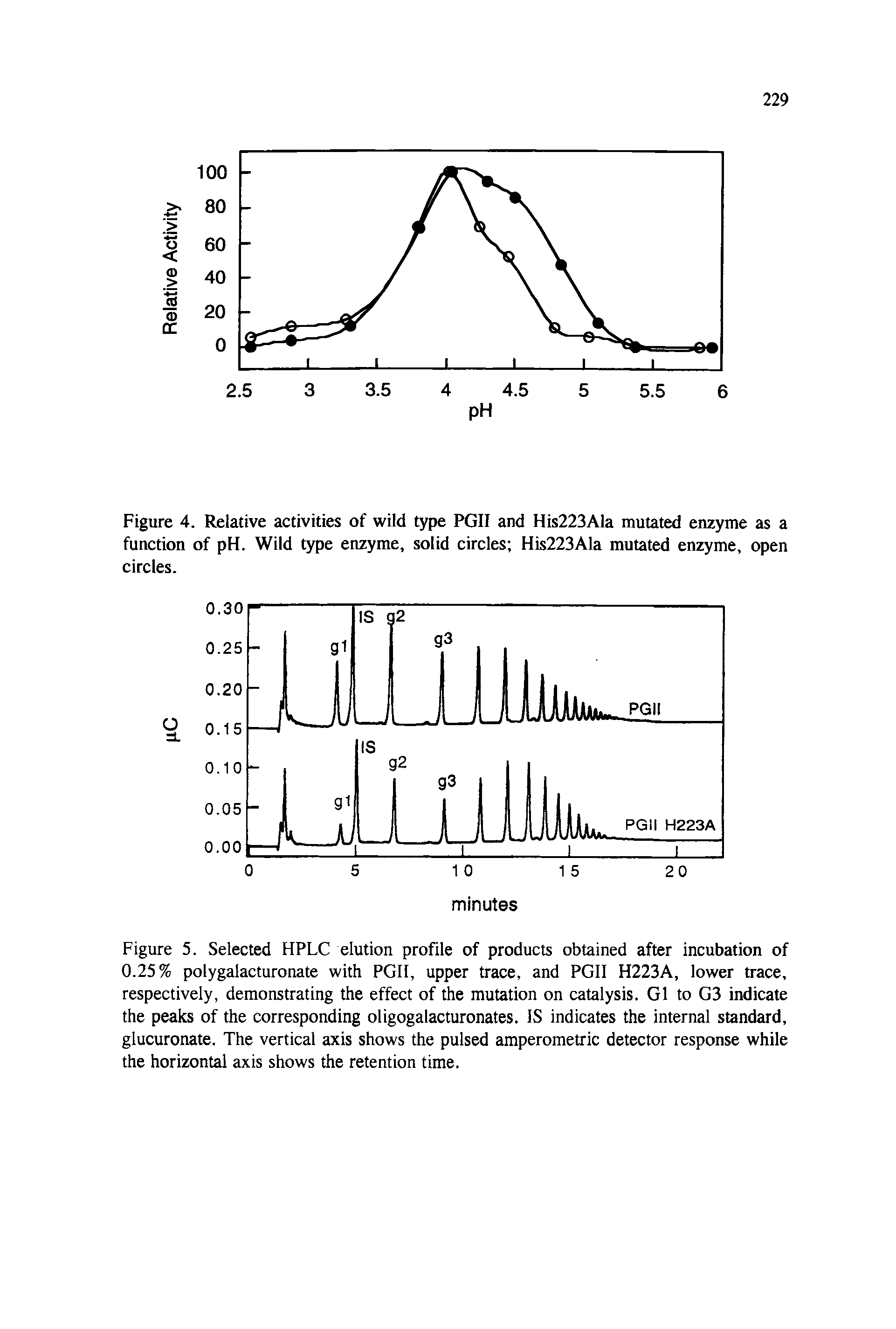 Figure 5. Selected HPLC elution profile of products obtained after incubation of 0.25% polygalacturonate with PGII, upper trace, and PGII H223A, lower trace, respectively, demonstrating the effect of the mutation on catalysis. G1 to G3 indicate the peaks of the corresponding oligogalacturonates. IS indicates the internal standard, glucuronate. The vertical axis shows the pulsed amperometric detector response while the horizontal axis shows the retention time.