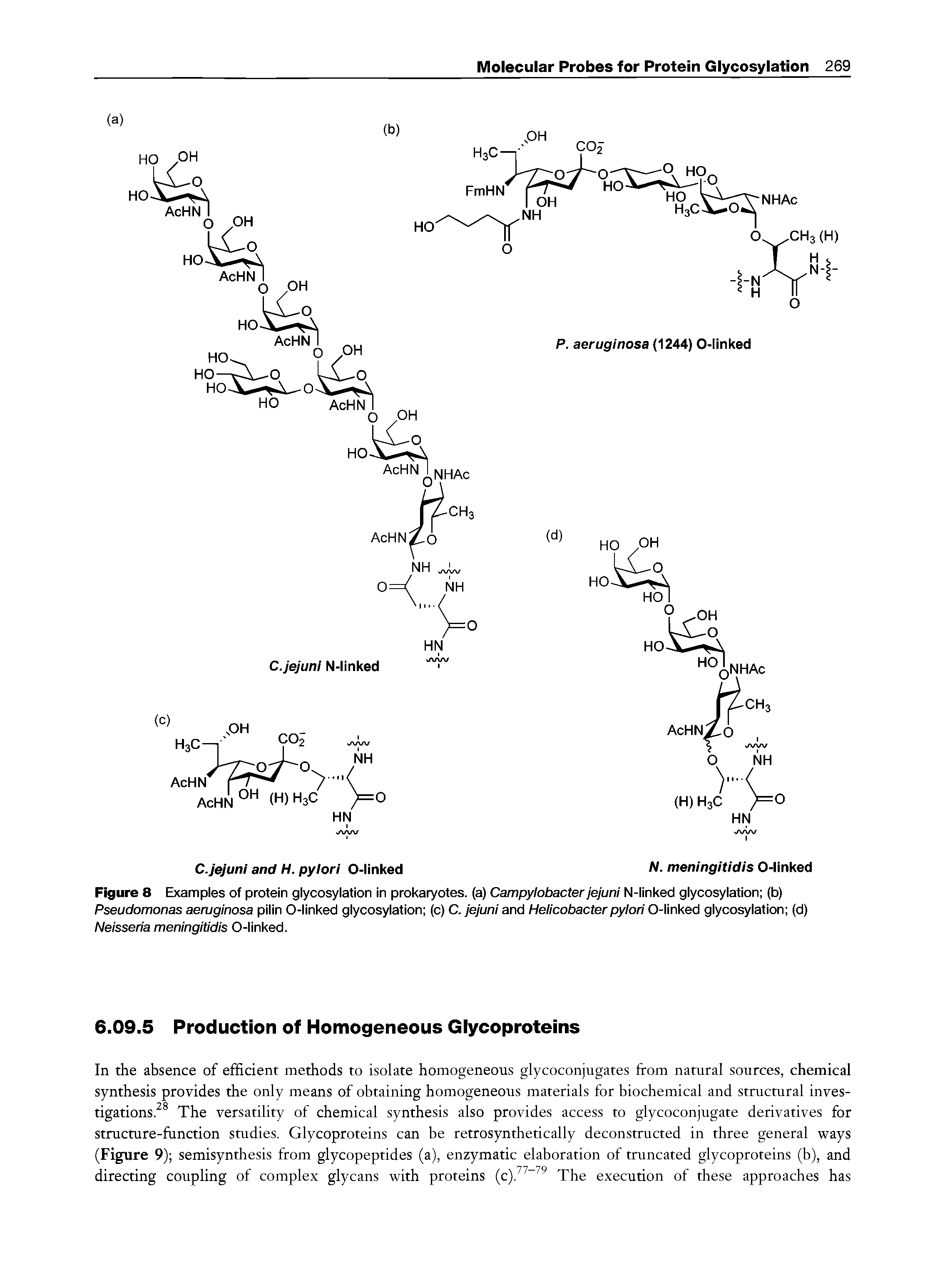 Figure 8 Examples of protein glycosylation in prokaryotes, (a) Campyiobacter jejuni N-linked glycosylation (b) Pseudomonas aeruginosa pilin O-linked glycosylation (c) C. jejuni and Heiicobacterpyiori O-linked glycosylation (d) Neisseria meningitidis O-linked.