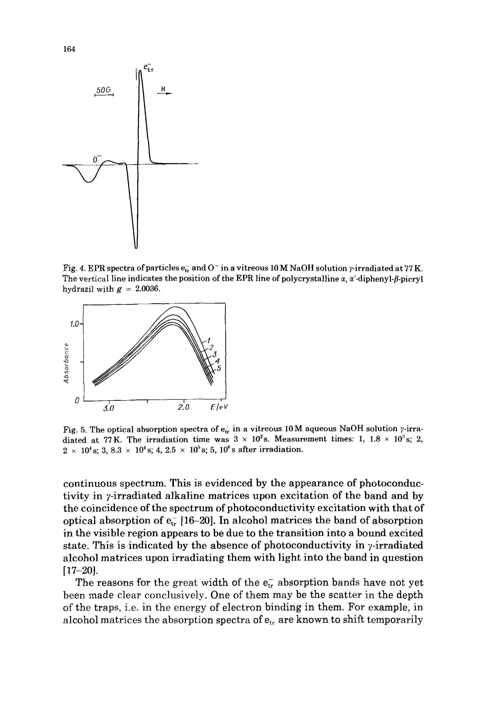 Fig. 4. EPR spectra of particles e,r and 0" in a vitreous 10 M NaOH solution ( -irradiated at 77 K. The vertical line indicates the position of the EPR line of polycrystalline a, a -diphenyl-/i-picryl hydrazil with g = 2.0036.