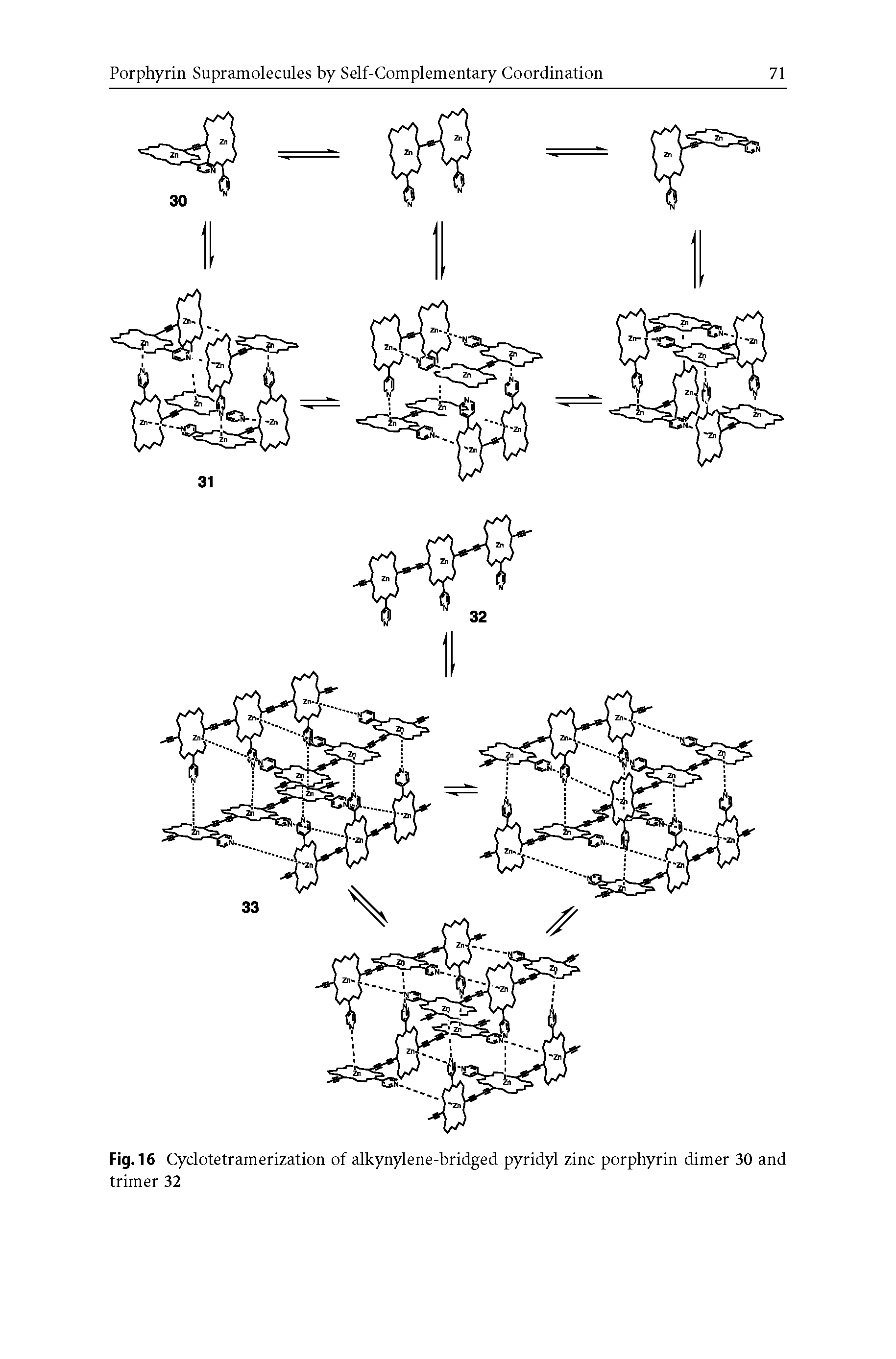 Fig. 16 Cyclotetramerization of alkynylene-bridged pyridyl zinc porphyrin dimer 30 and trimer 32...