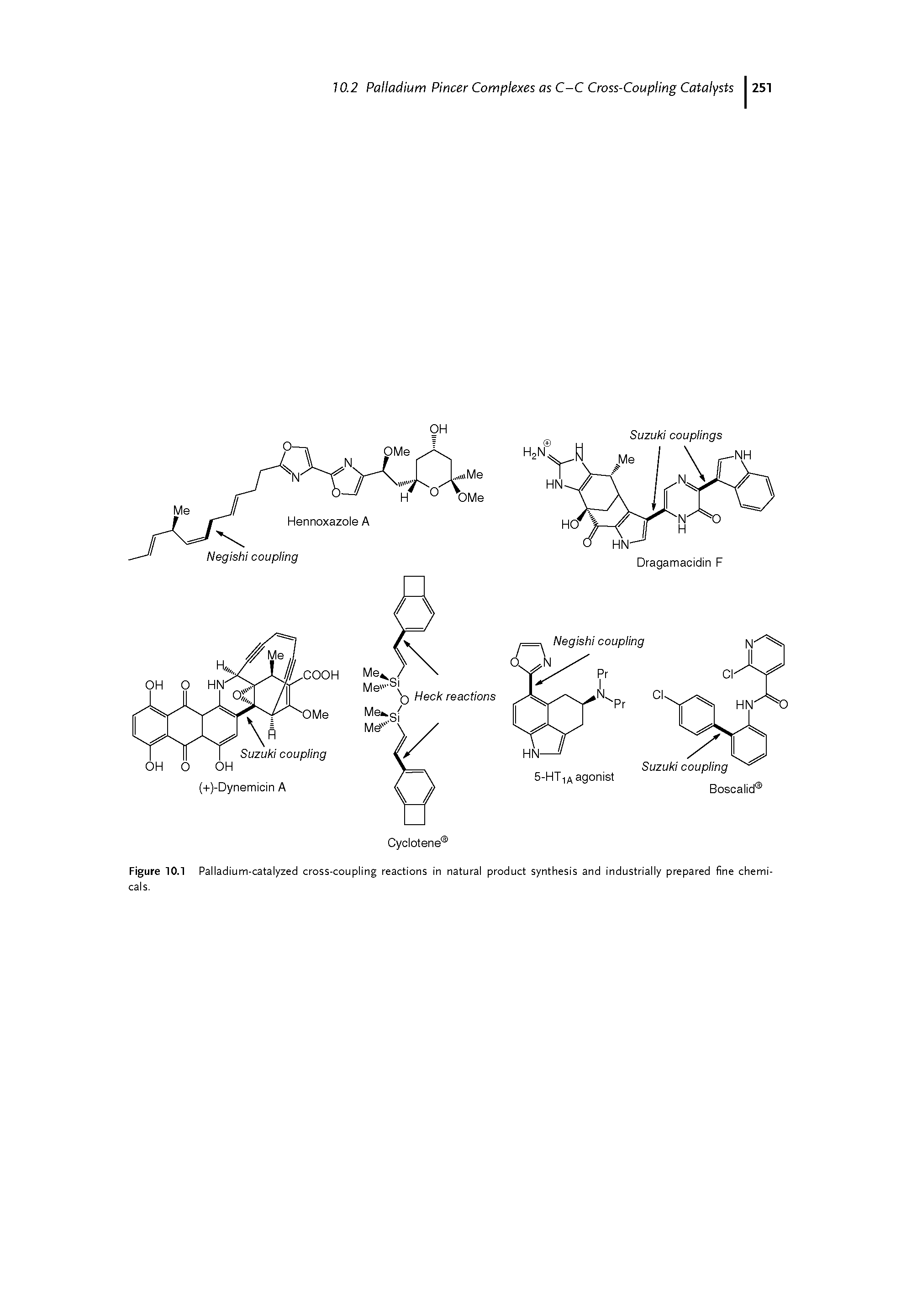 Figure 10.1 Palladium-catalyzed cross-coupling reactions in natural product synthesis and industrially prepared fine chemicals.