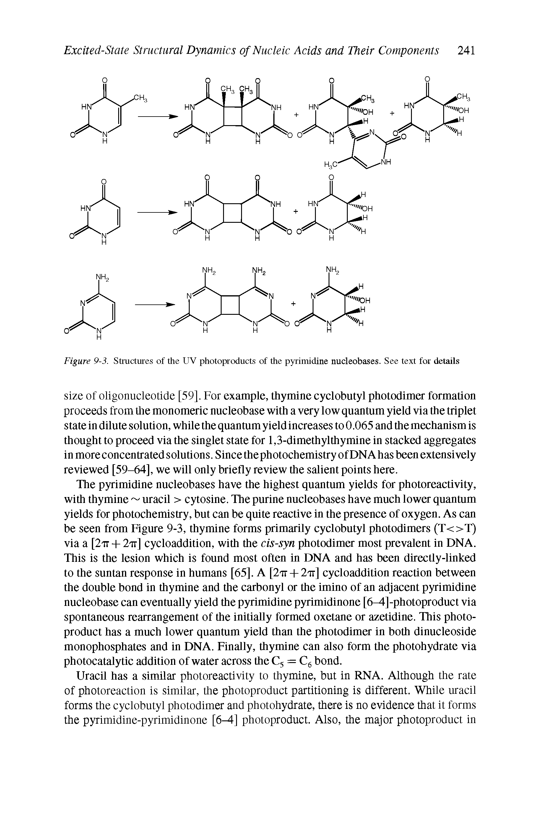 Figure 9-3. Structures of the UV photoproducts of the pyrimidine nucleobases. See text for details...