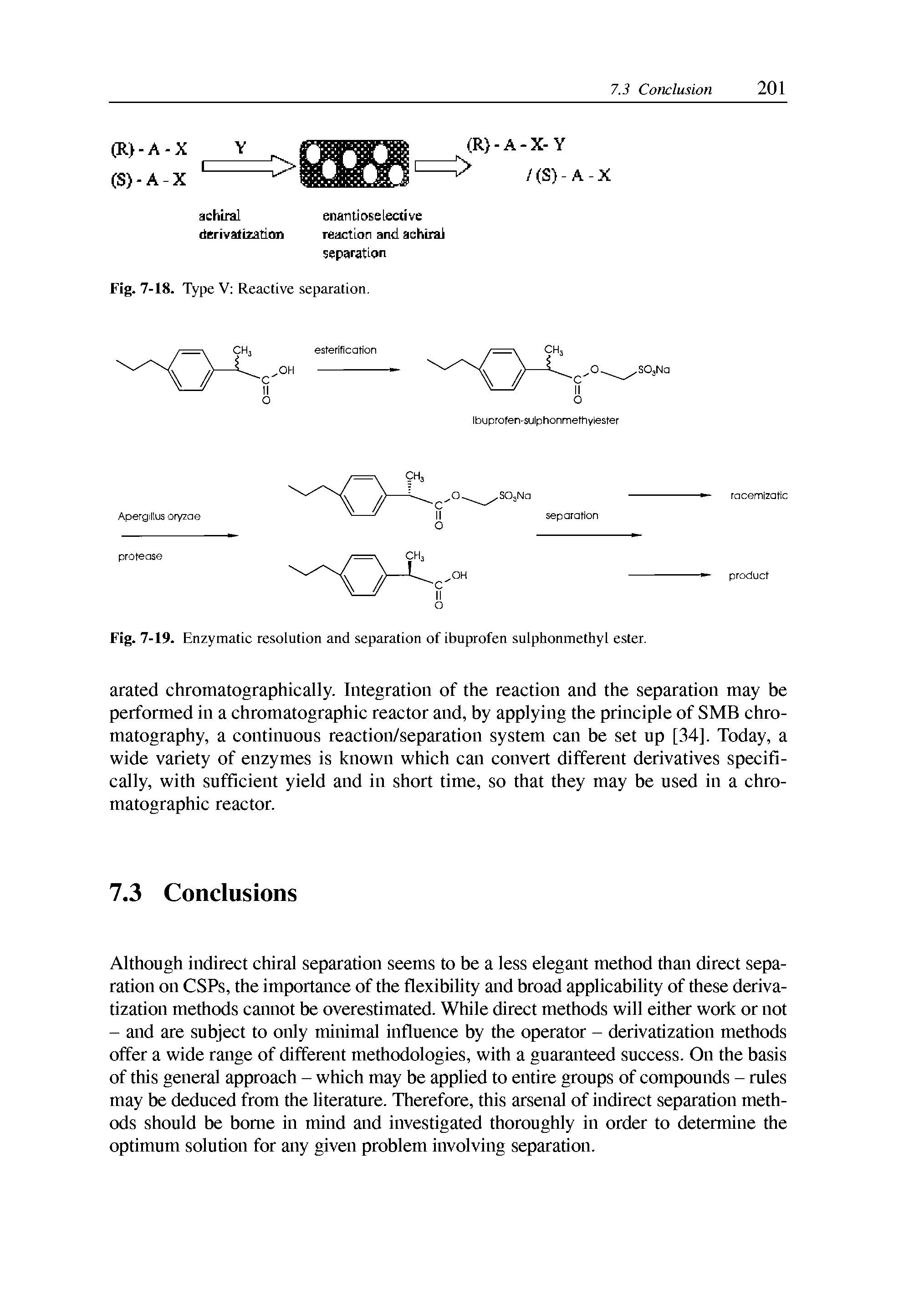 Fig. 7-19. Enzymatic resolution and separation of ibuprofen sulphonmethyl ester.