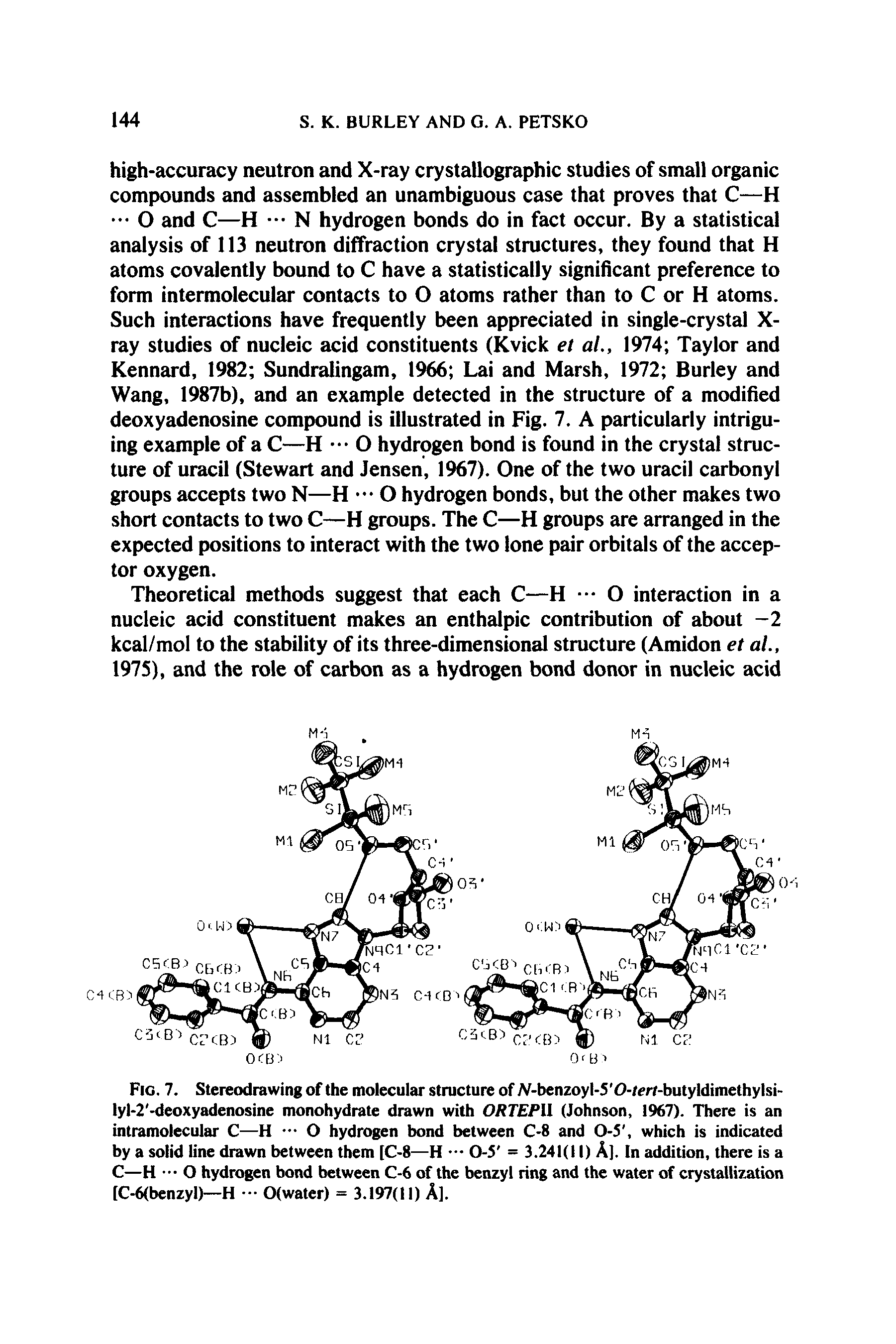 Fig. 7. Stereodrawing of the molecular structure of JV-benzoyl-5 0-/ert-butyldimethylsi-lyl-2 -deoxyadenosine monohydrate drawn with ORTEPU. (Johnson, 1967). There is an intramolecular C—H O hydrogen bond between C-8 and 0-5, which is indicated by a solid line drawn between them [C-8—H 0-5 = 3.241(11) A]. In addition, there is a C—H O hydrogen bond between C-6 of the benzyl ring and the water of crystallization [C-6(benzyl)—H O(water) = 3.197(11) A].