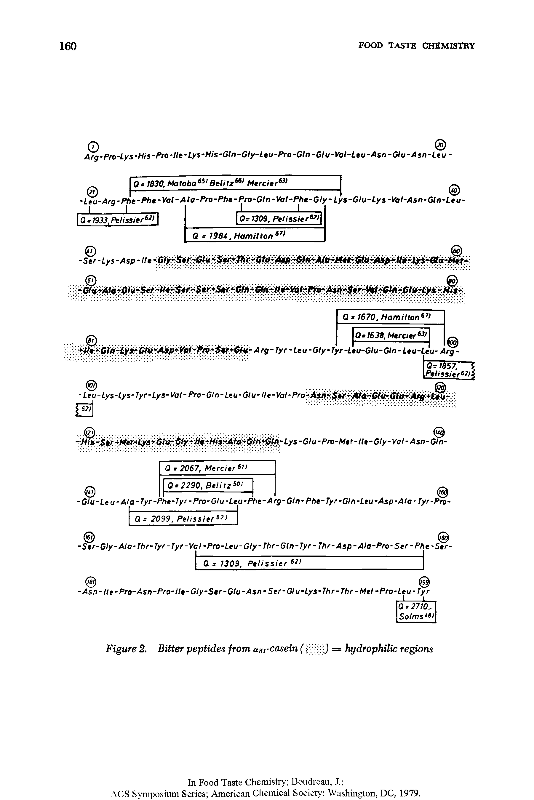 Figure 2, Bitter peptides from aa,-casein ( ) = hydrophilic regions...