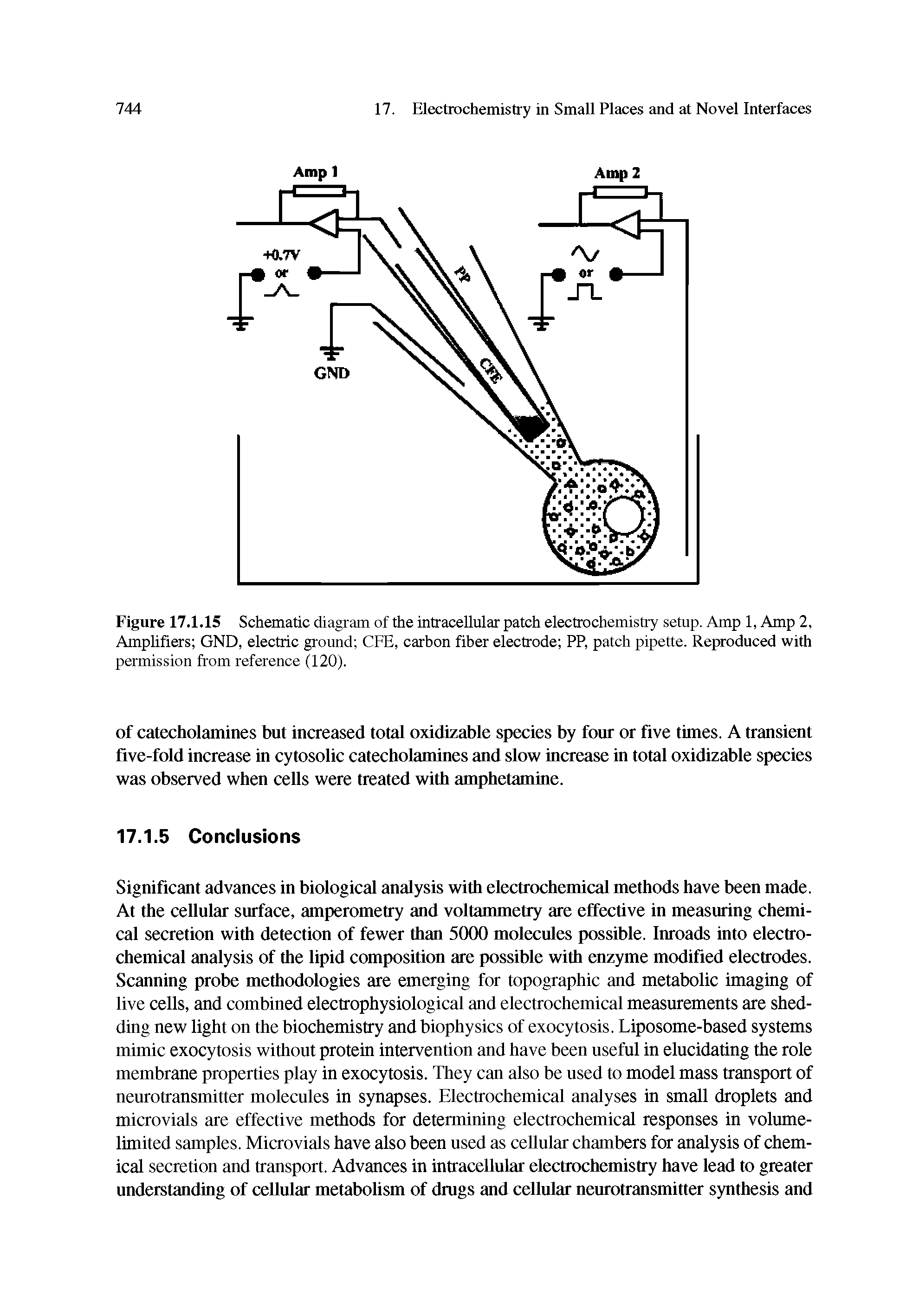 Figure 17.1.15 Schematic diagram of the intracellular patch electrochemistry setup. Amp 1, Amp 2, Amplifiers GND, electric ground CFE, carbon fiber electrode PP, patch pipette. Reproduced with...