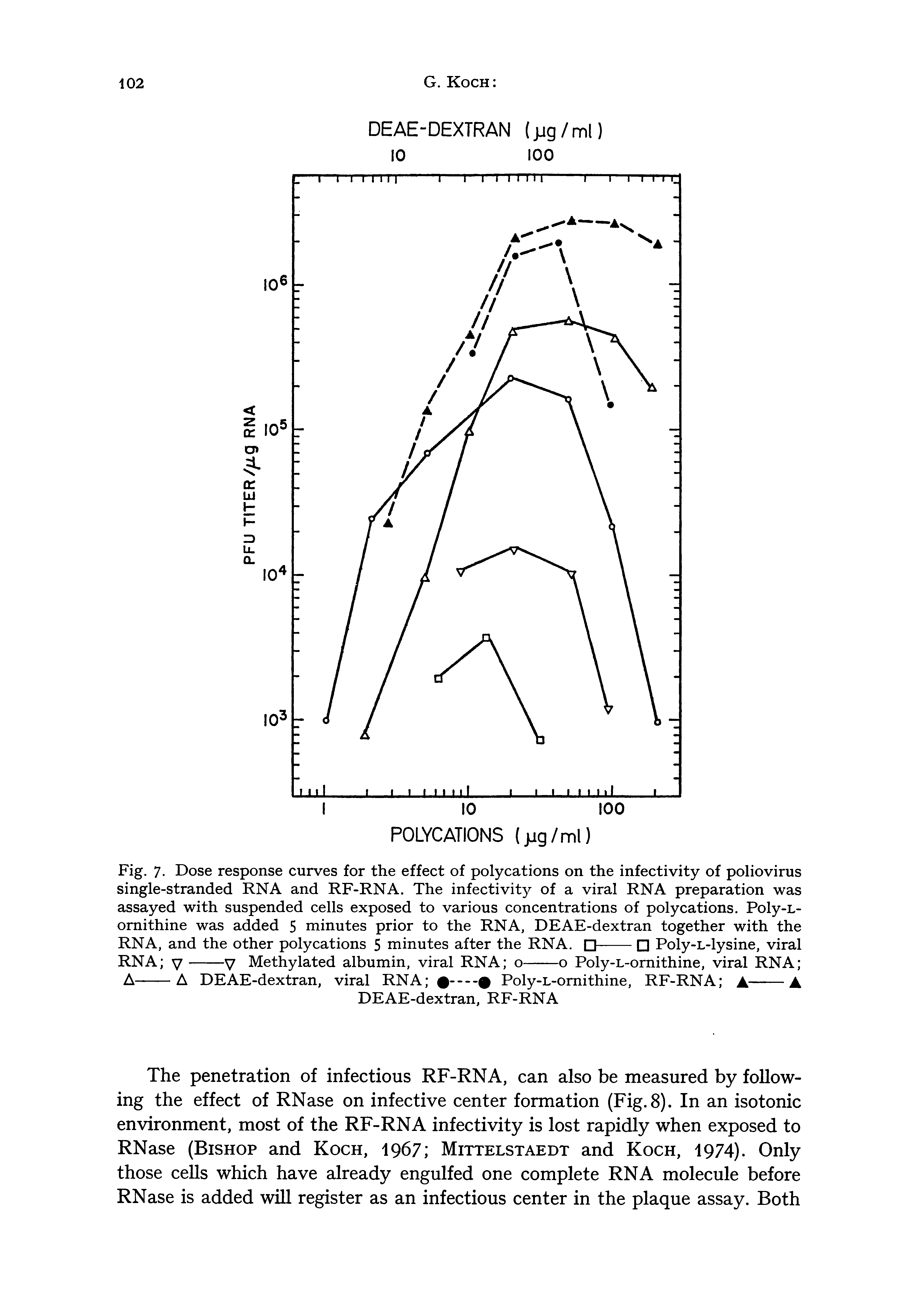 Fig. 7. Dose response curves for the effect of polycations on the infectivity of poliovirus single-stranded RNA and RF-RNA. The infectivity of a viral RNA preparation was assayed with suspended cells exposed to various concentrations of polycations. Poly-L-omithine was added 5 minutes prior to the RNA, DEAE-dextran together with the...