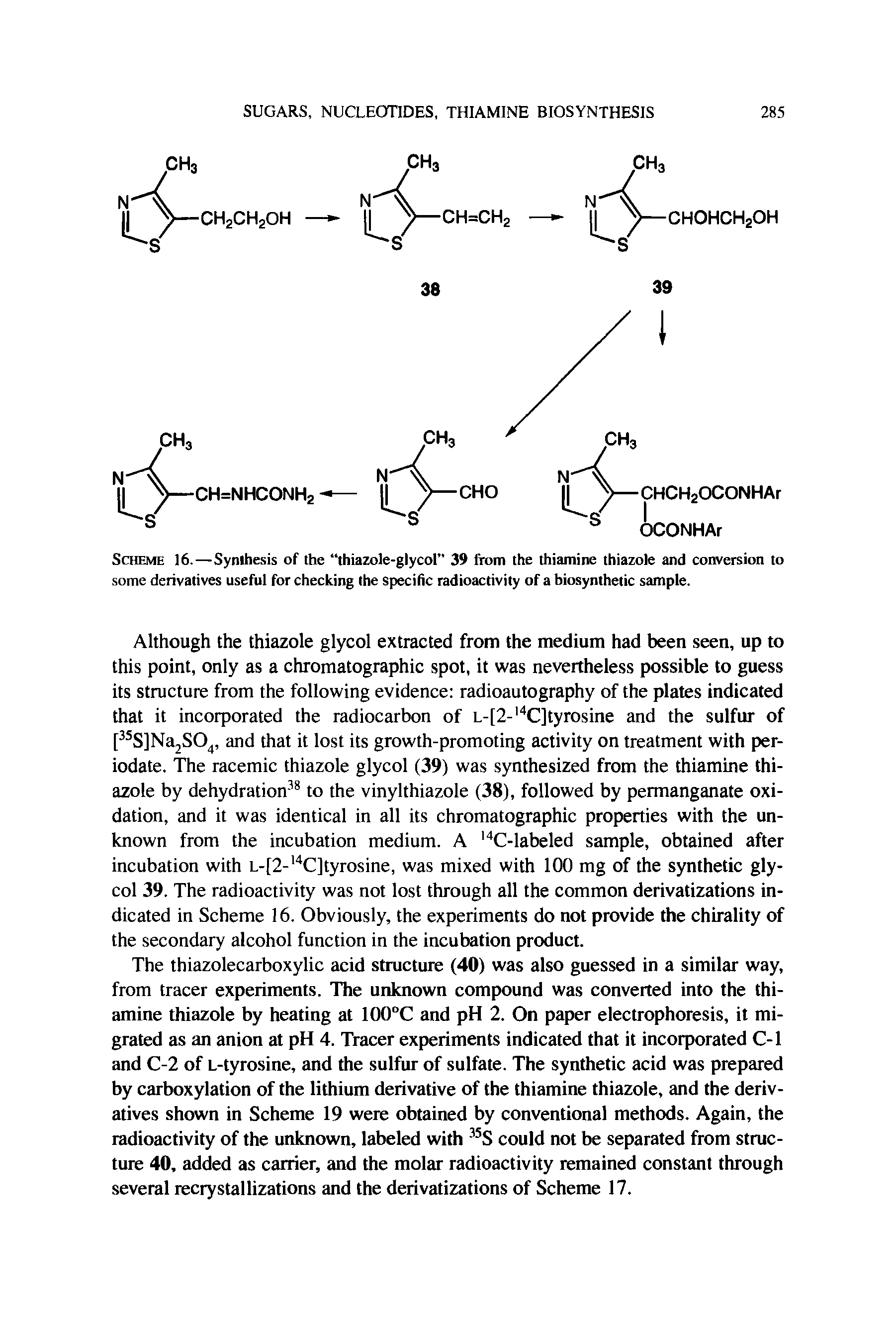 Scheme 16.—Synthesis of the thiazole-glycol 39 from the thiamine thiazole and conversion to some derivatives useful for checking the specific radioactivity of a biosynthetic sample.