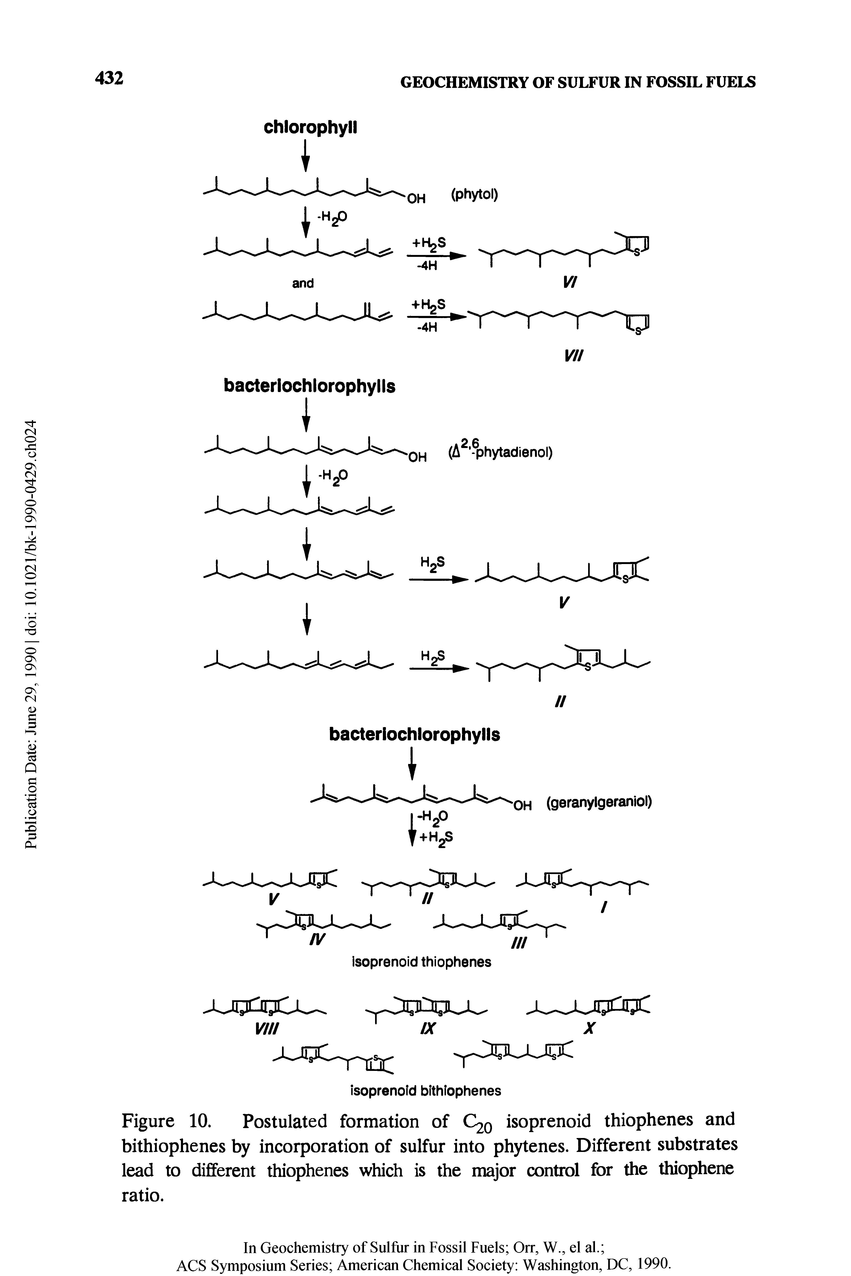 Figure 10. Postulated formation of C20 isoprenoid thiophenes and bithiophenes by incorporation of sulfur into phytenes. Different substrates lead to different thiophenes which is the major control for the thiophene ratio.