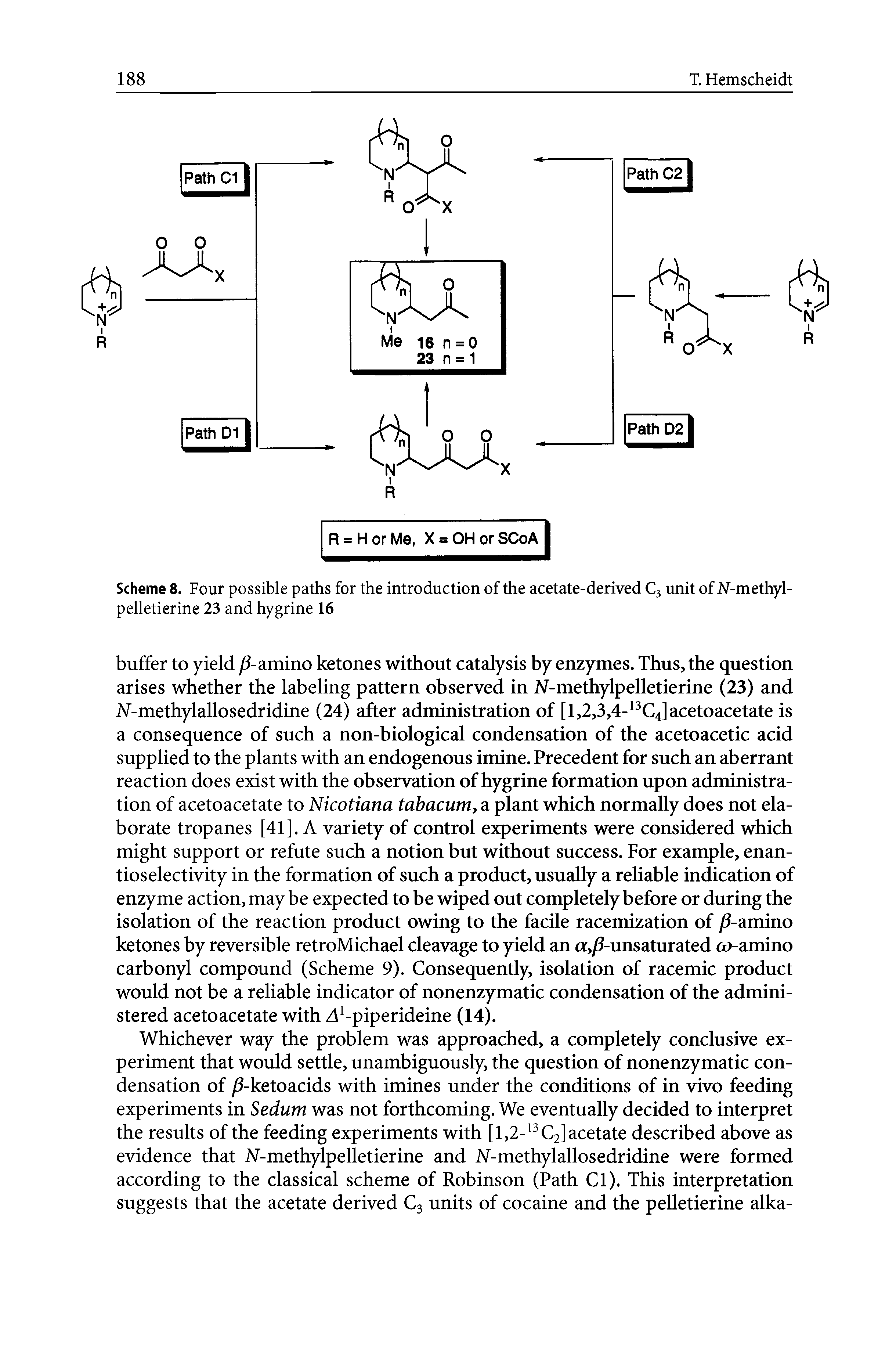 Scheme 8. Four possible paths for the introduction of the acetate-derived Cj unit of N-methyl-pelletierine 23 and hygrine 16...