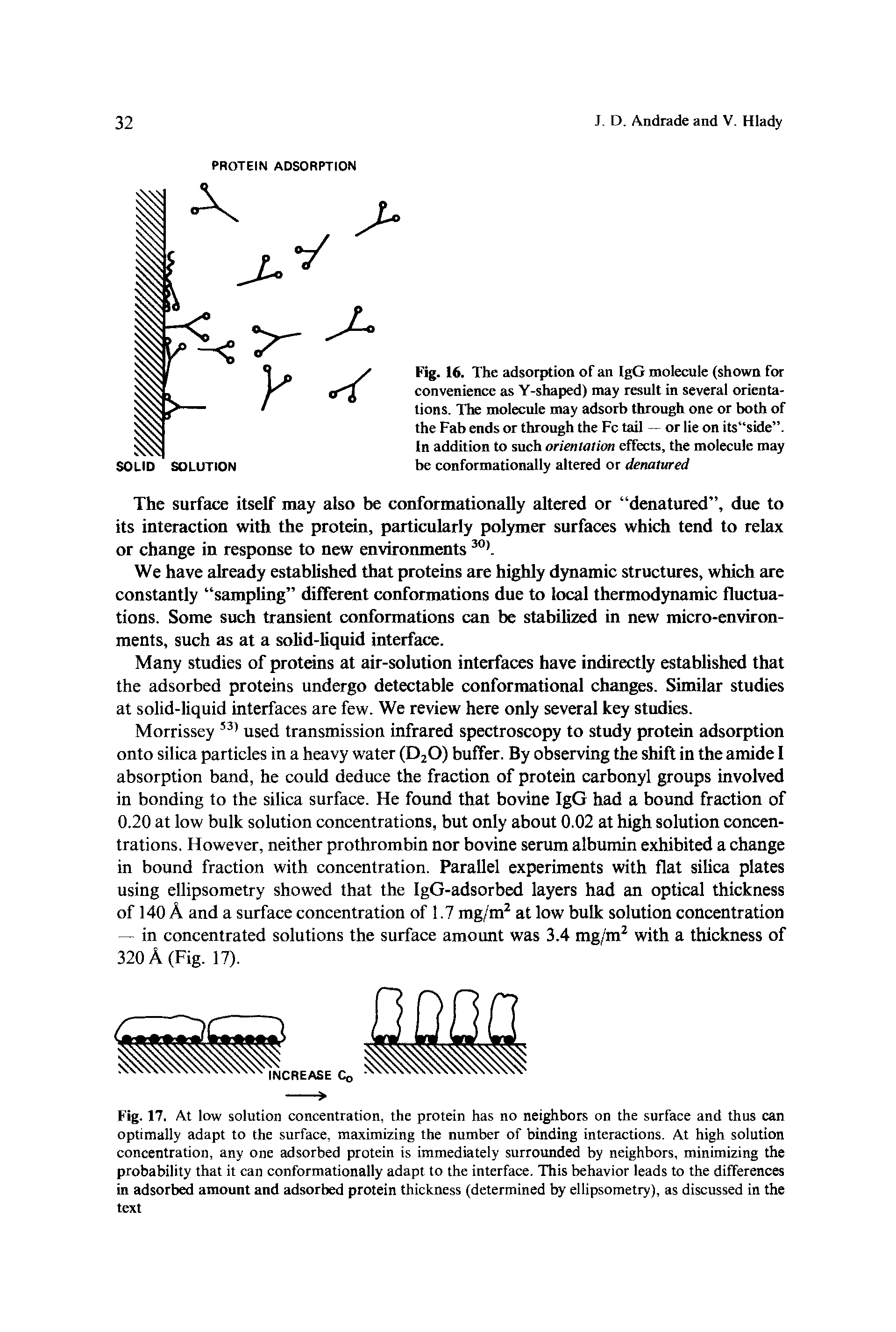 Fig. 17. At low solution concentration, the protein has no neighbors on the surface and thus can optimally adapt to the surface, maximizing the number of binding interactions. At high solution concentration, any one adsorbed protein is immediately surrounded by neighbors, minimizing the probability that it can conformationally adapt to the interface. This behavior leads to the differences in adsorbed amount and adsorbed protein thickness (determined by ellipsometry), as discussed in the text...