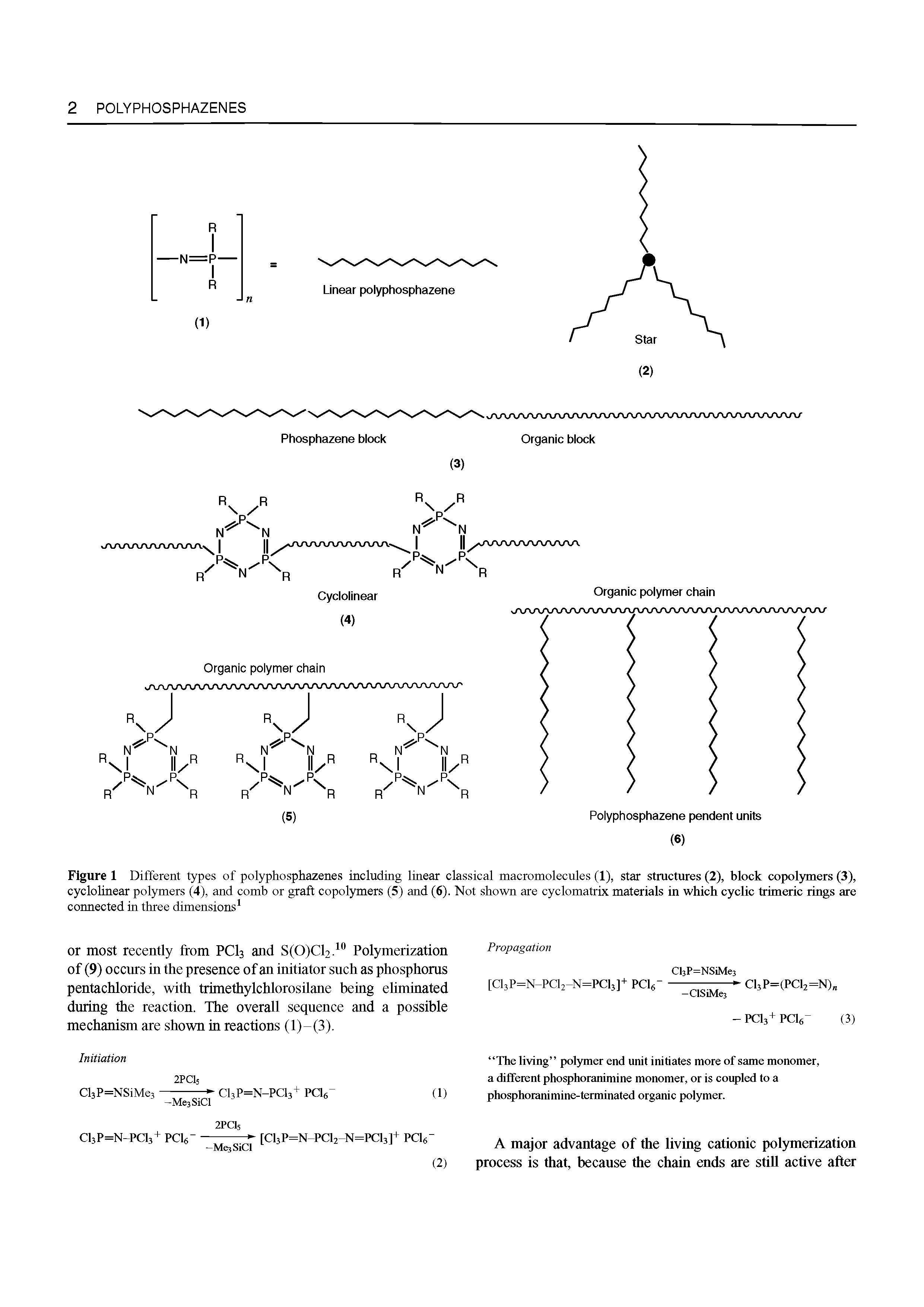 Figure 1 Different types of polyphosphazenes including linear classical macromolecules (1), star structures (2), block copolymers (3), cyclolinear polymers (4), and comb or graft copolymers (5) and (6). Not shown are cyclomatrix materials in which cyclic trim eric rings are connected in three dimensions ...