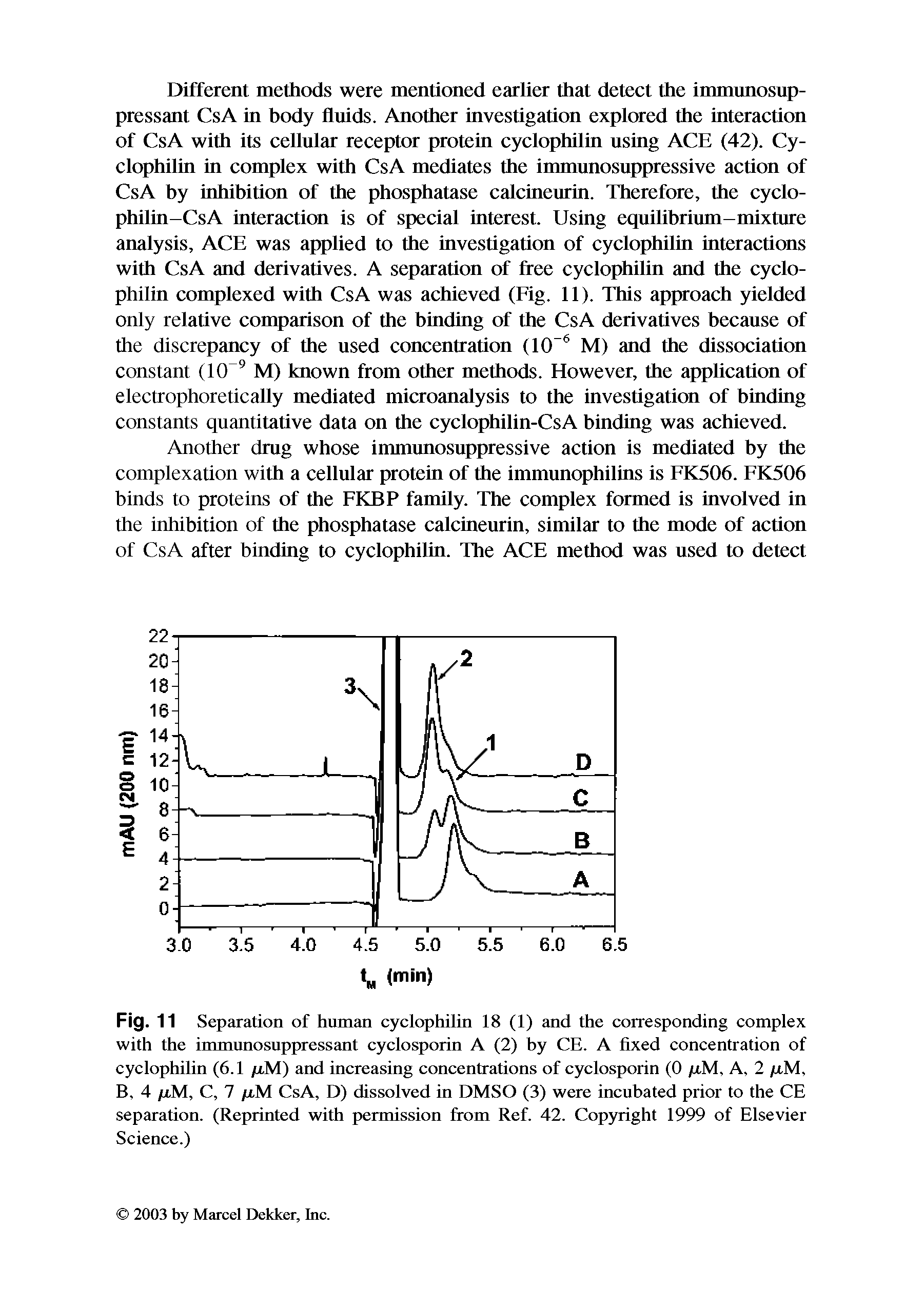 Fig. 11 Separation of human cyclophilin 18 (1) and the corresponding complex with the immunosuppressant cyclosporin A (2) by CE. A fixed concentration of cyclophilin (6.1 /xM) and increasing concentrations of cyclosporin (0 /xM, A, 2 /xM, B, 4 /xM, C, 7 /xM CsA, D) dissolved in DMSO (3) were incubated prior to the CE separation. (Reprinted with permission from Ref. 42. Copyright 1999 of Elsevier Science.)...