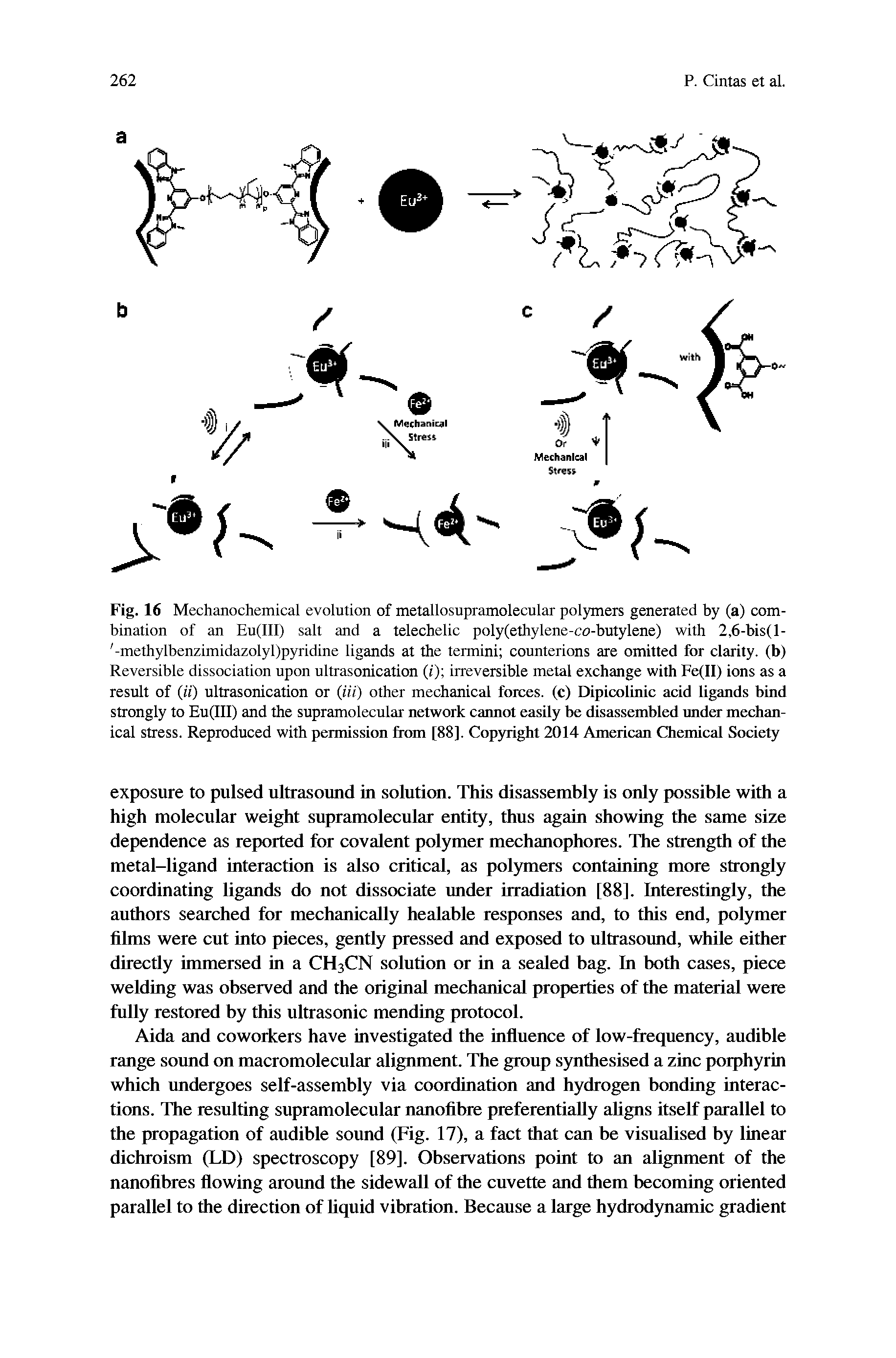 Fig. 16 Mechanochemical evolution of metallosupramolecular polymers generated by (a) combination of an Eu(III) salt and a telechelic poly(ethylene-co-butylene) with 2,6-bis(l- -methylbenzimidazolyl)pyridine ligands at the termini counterions are omitted for clarity, (b) Reversible dissociation upon ultrasonication (i) irreversible metal exchange with Fe(II) ions as a result of (ii) ultrasonication or (Hi) other mechanical forces, (c) Dipicolinic acid ligands bind strongly to Eu(III) and the supramolecular network cannot easily be disassembled under mechanical stress. Reproduced with permission from [88]. Copyright 2014 American Chemical Society...