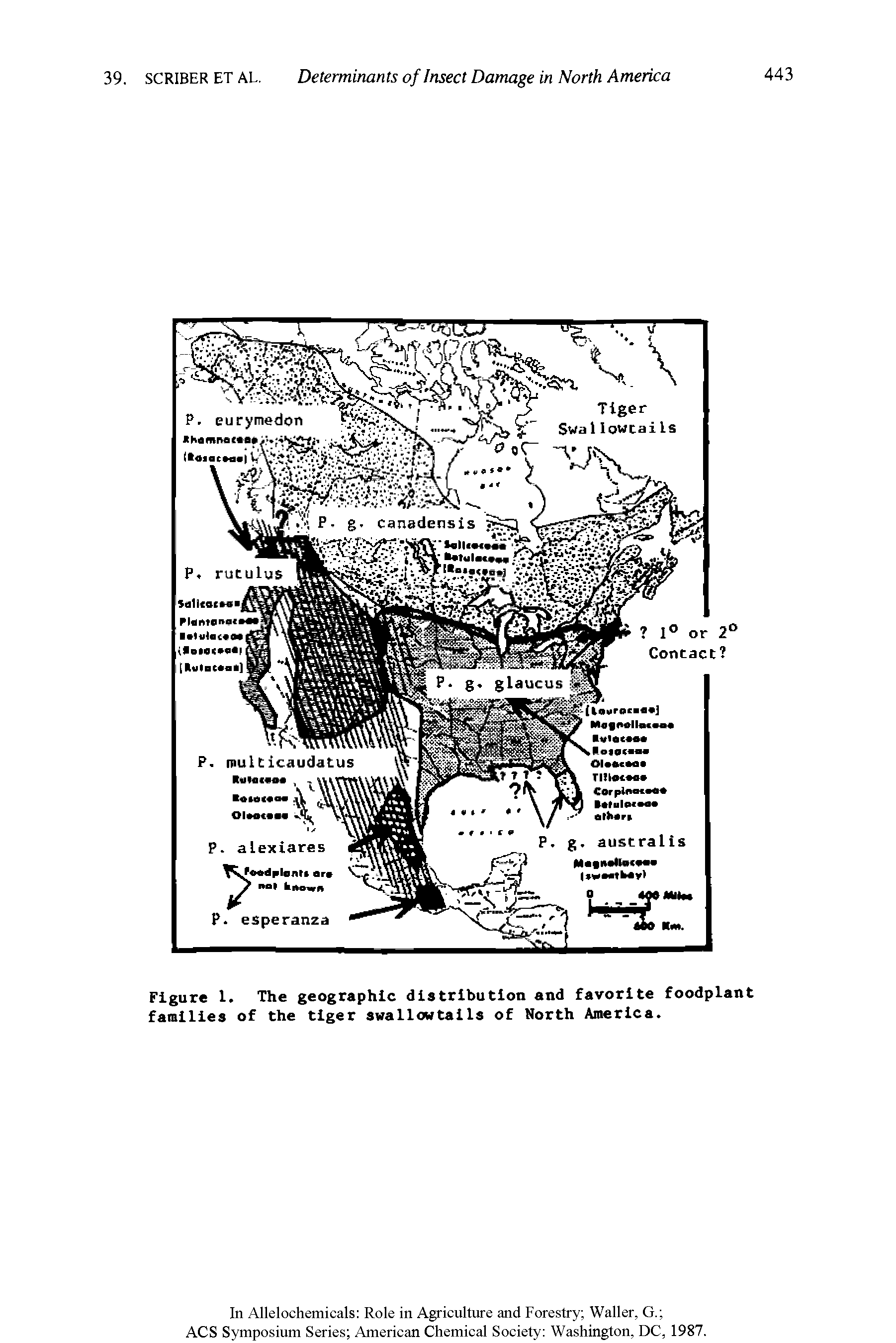Figure 1. The geographic distribution and favorite foodplant families of the tiger swallowtails of North America.