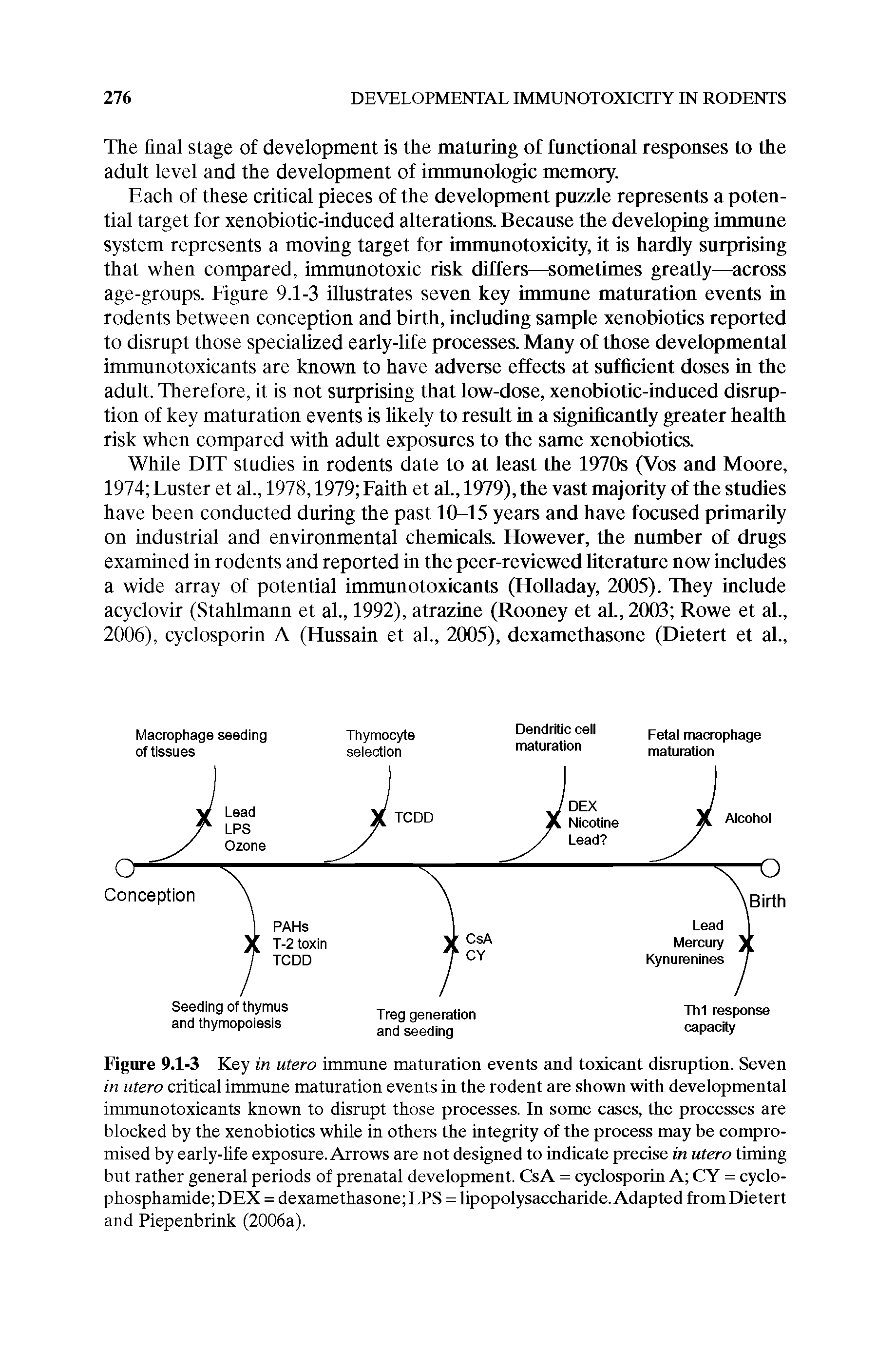 Figure 9.1-3 Key in utero immune maturation events and toxicant disruption. Seven in utero critical immune maturation events in the rodent are shown with developmental immunotoxicants known to disrupt those processes. In some cases, the processes are blocked by the xenobiotics while in others the integrity of the process may be compromised by early-life exposure. Arrows are not designed to indicate precise in utero timing but rather general periods of prenatal development. CsA = cyclosporin A CY = cyclophosphamide DEX = dexamethasone EPS = lipopolysaccharide. Adapted from Dietert and Piepenbrink (2006a).