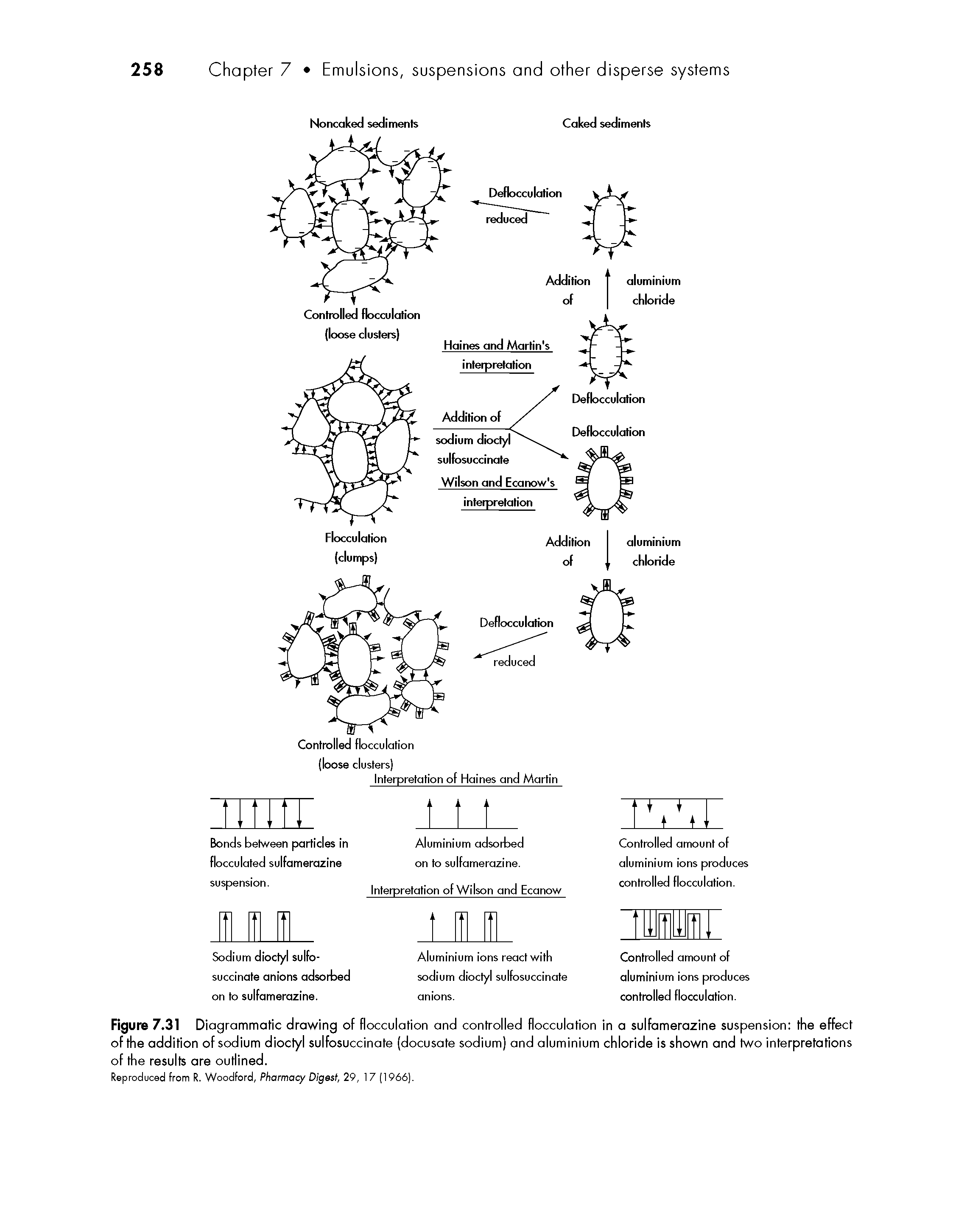 Figure 7.31 Diagrammatic drawing of flocculation and controlled flocculation in a sulfamerazine suspension the effect of the addition of sodium dioctyl sulfosuccinate (docusate sodium) and aluminium chloride is shown and two interpretations of the results are outlined.