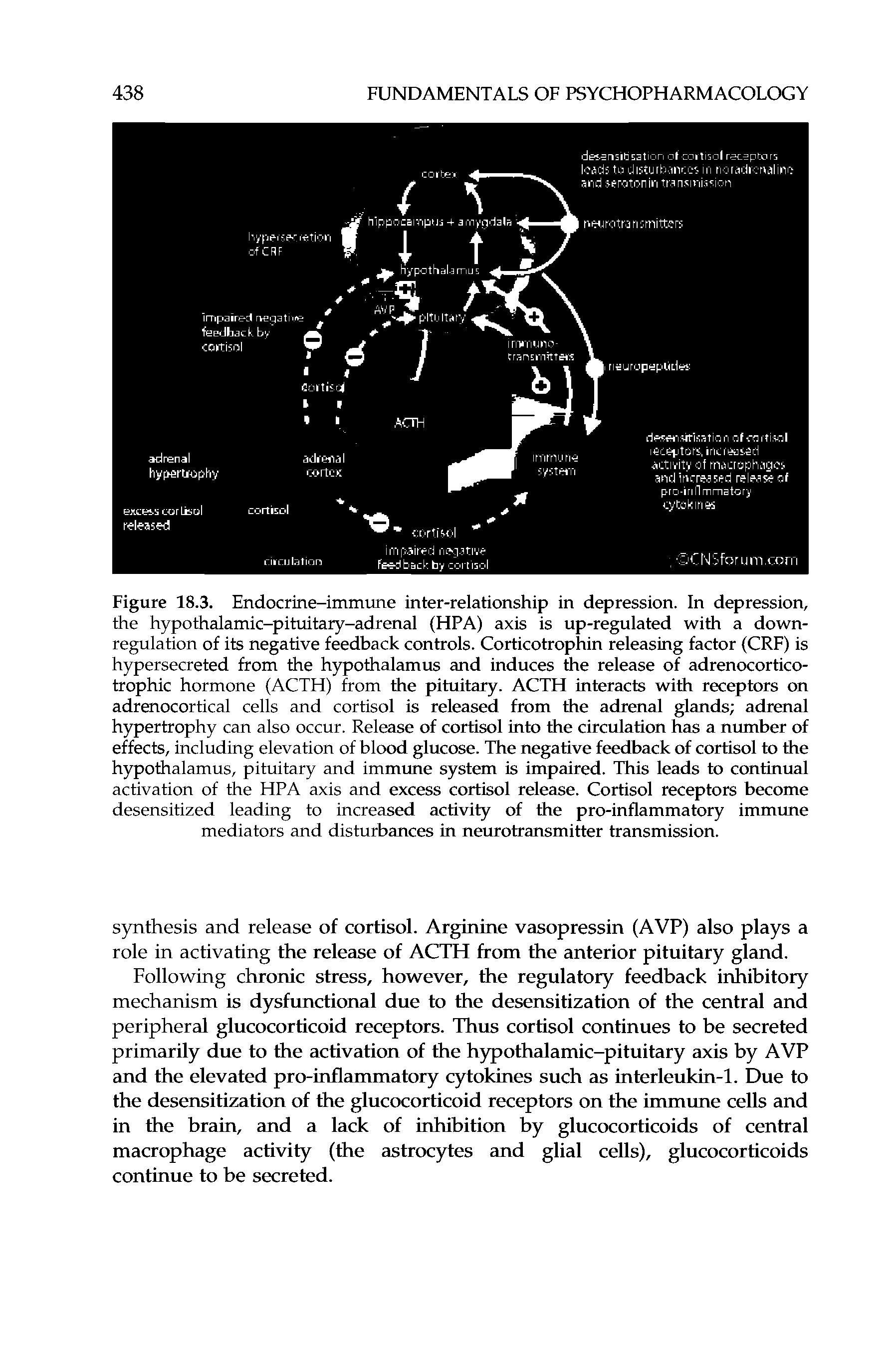 Figure 18.3. Endocrine-immune inter-relationship in depression. In depression, the hypothalamic-pituitary-adrenal (HPA) axis is up-regulated with a down-regulation of its negative feedback controls. Corticotrophin releasing factor (CRF) is hypersecreted from the hypothalamus and induces the release of adrenocortico-trophic hormone (ACTH) from the pituitary. ACTH interacts with receptors on adrenocortical cells and cortisol is released from the adrenal glands adrenal hypertrophy can also occur. Release of cortisol into the circulation has a number of effects, including elevation of blood glucose. The negative feedback of cortisol to the hypothalamus, pituitary and immune system is impaired. This leads to continual activation of the HPA axis and excess cortisol release. Cortisol receptors become desensitized leading to increased activity of the pro-inflammatory immune mediators and disturbances in neurotransmitter transmission.