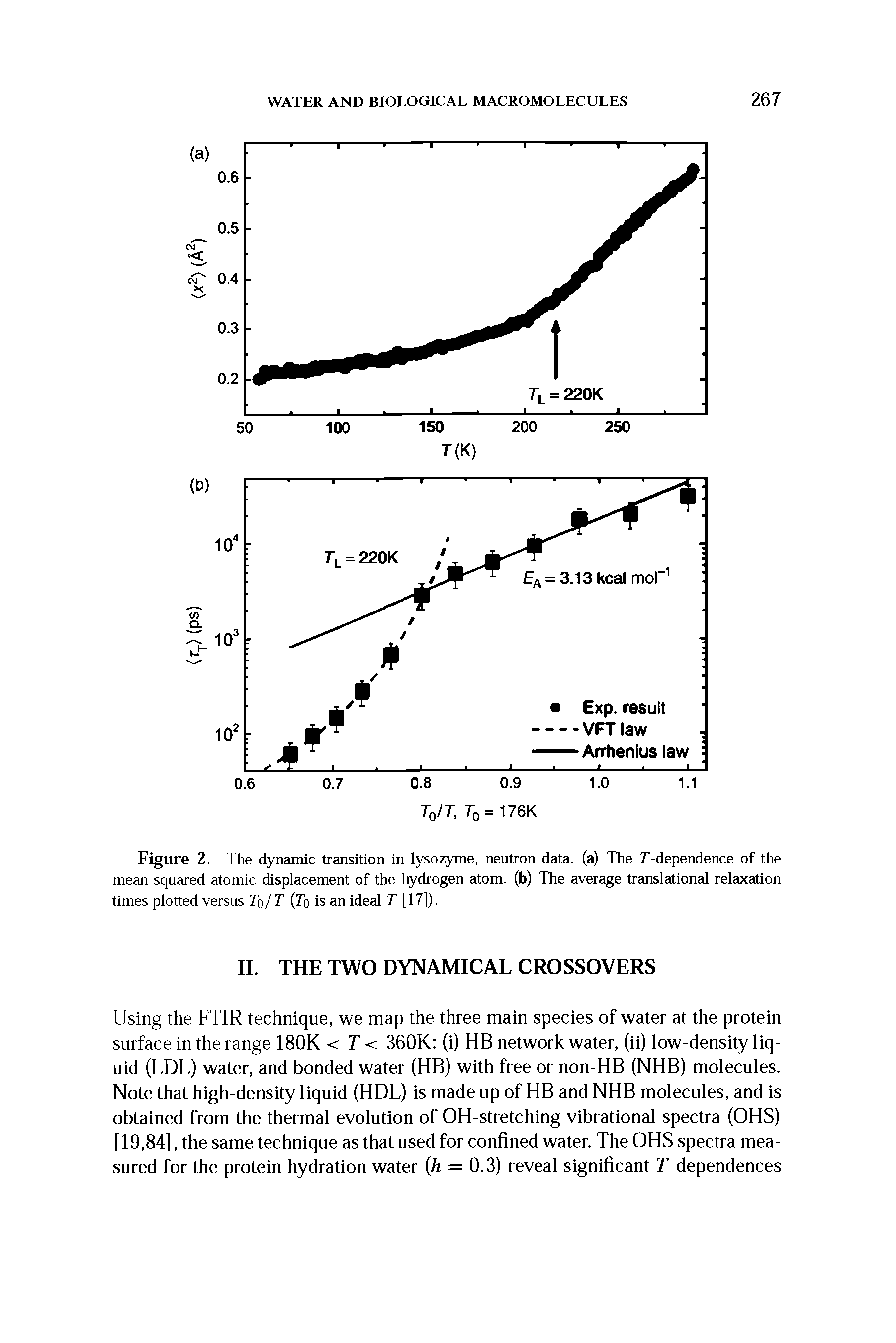 Figure 2. The dynamic transition in lysozyme, neutron data. (sO The T-dependence of the mean-squared atomic displacement of the hydrogen atom, (b) The average translational relaxation times plotted versus Ta/T (To is an ideal T [17]).