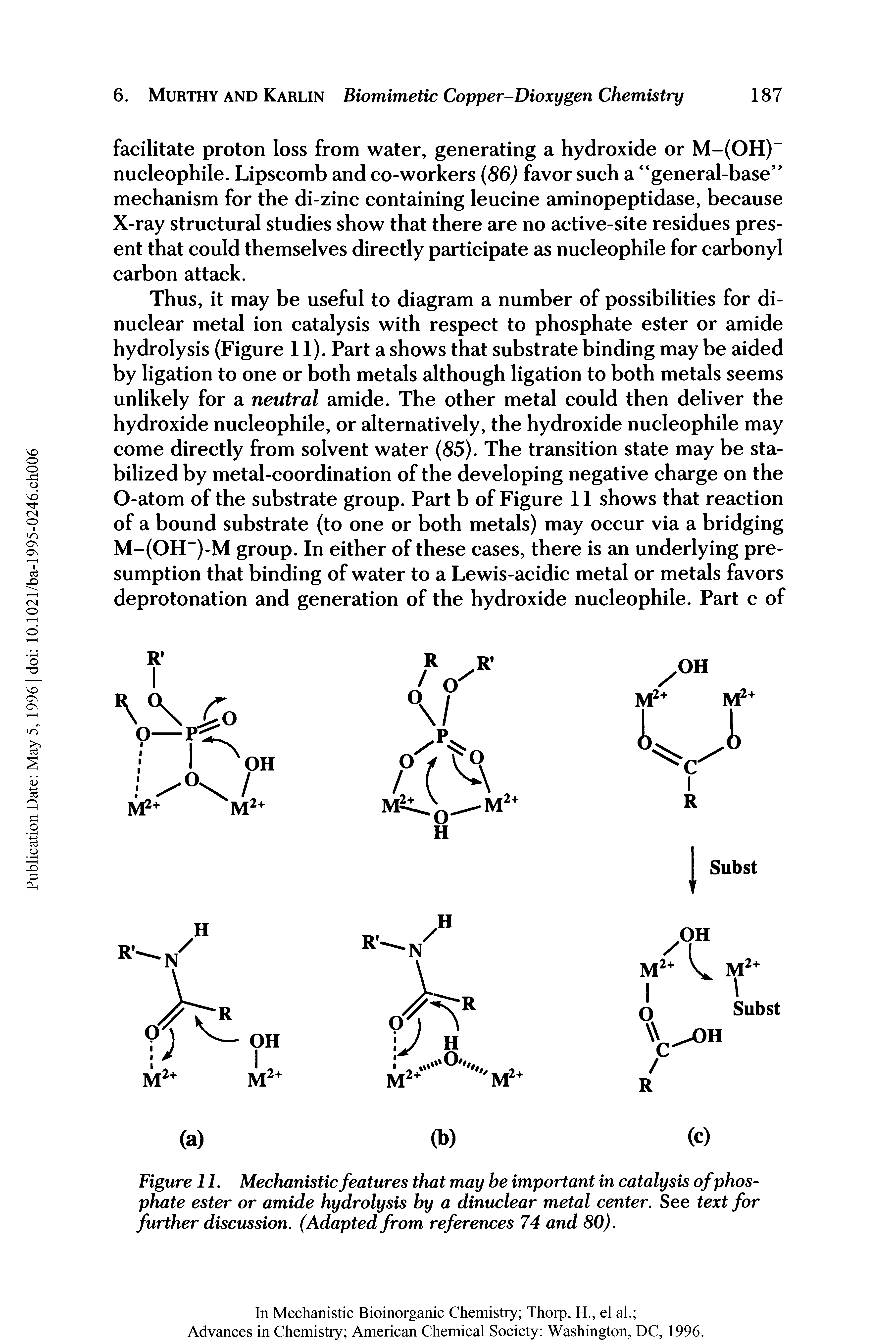 Figure 11. Mechanistic features that may be important in catalysis of phosphate ester or amide hydrolysis by a dinuclear metal center. See text for further discussion. (Adapted from references 74 and 80).