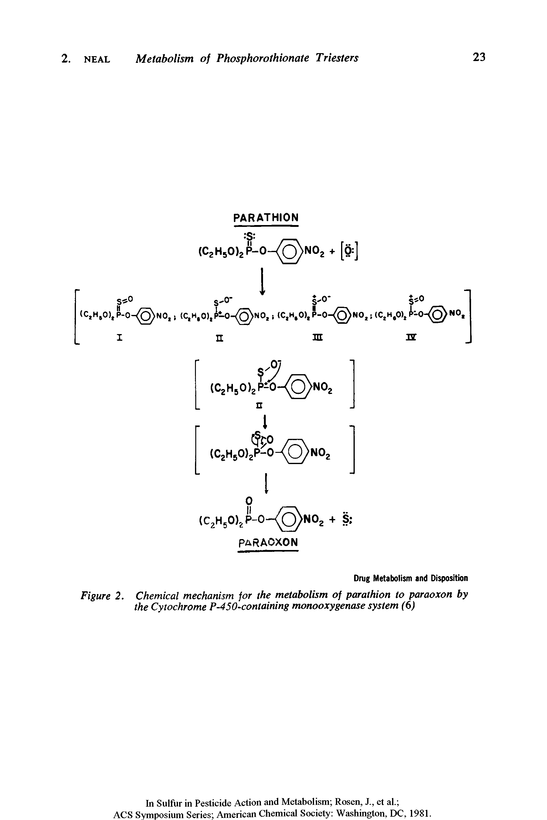 Figure 2. Chemical mechanism for the metabolism of parathion to paraoxon by the Cytochrome P-450-containing monooxygenase system (6)...