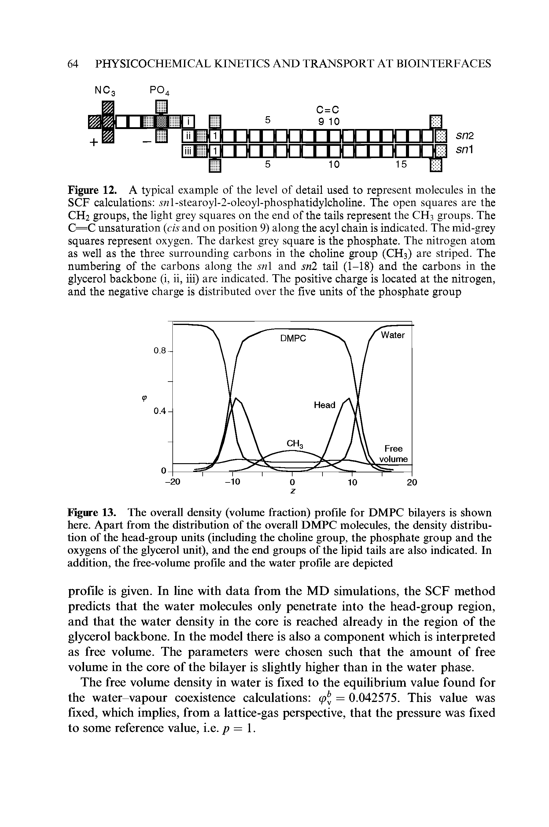 Figure 13. The overall density (volume fraction) profile for DMPC bilayers is shown here. Apart from the distribution of the overall DMPC molecules, the density distribution of the head-group units (including the choline group, the phosphate group and the oxygens of the glycerol unit), and the end groups of the lipid tails are also indicated. In addition, the free-volume profile and the water profile are depicted...