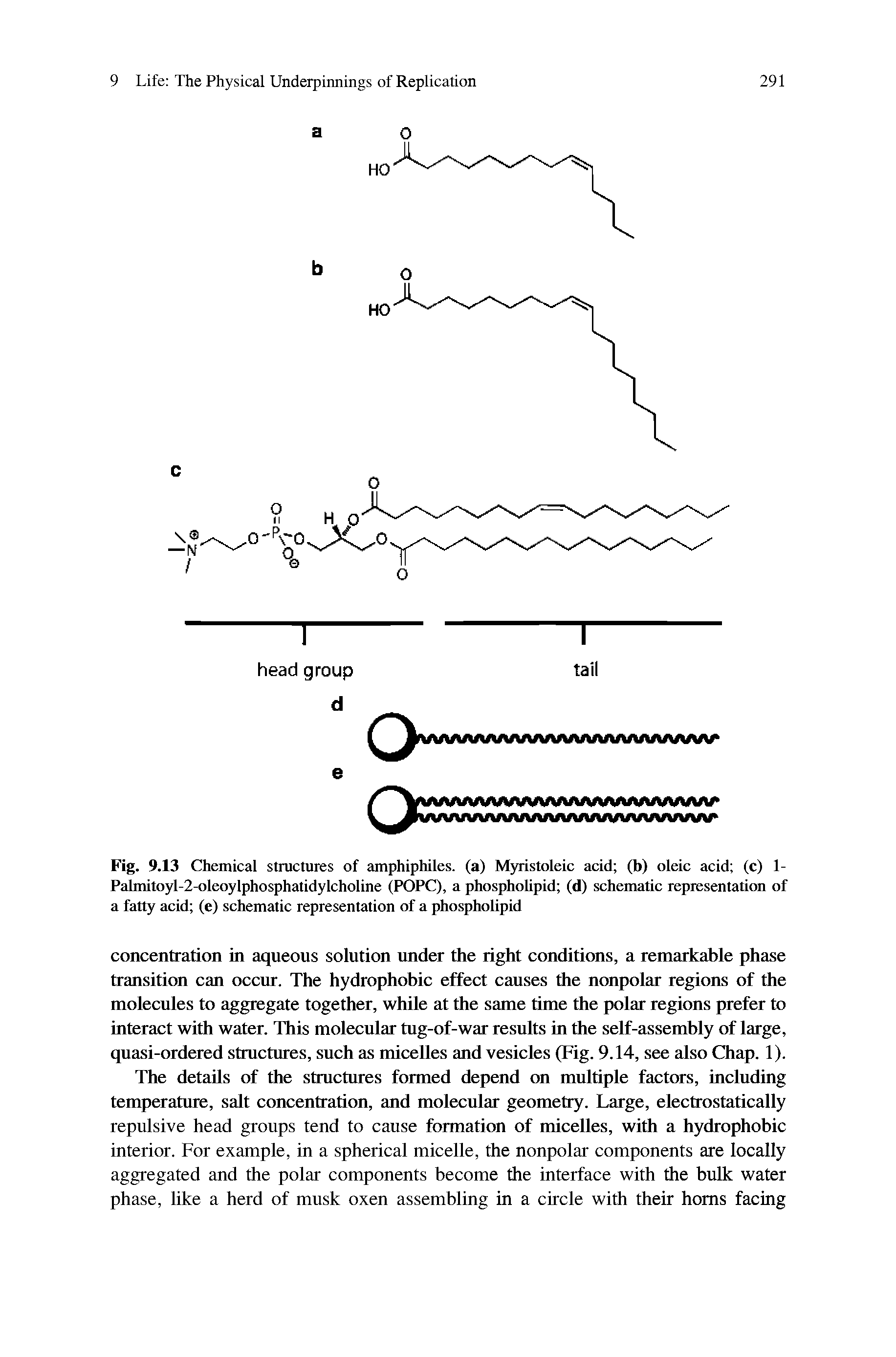 Fig. 9.13 Chemical structures of amphiphiles. (a) Myristoleic acid (b) oleic acid (c) 1-Pahnitoyl-2-oleoylphosphatidylcholine (POPC), a phospholipid (d) schematic representation of a fatty acid (e) schematic representation of a phospholipid...