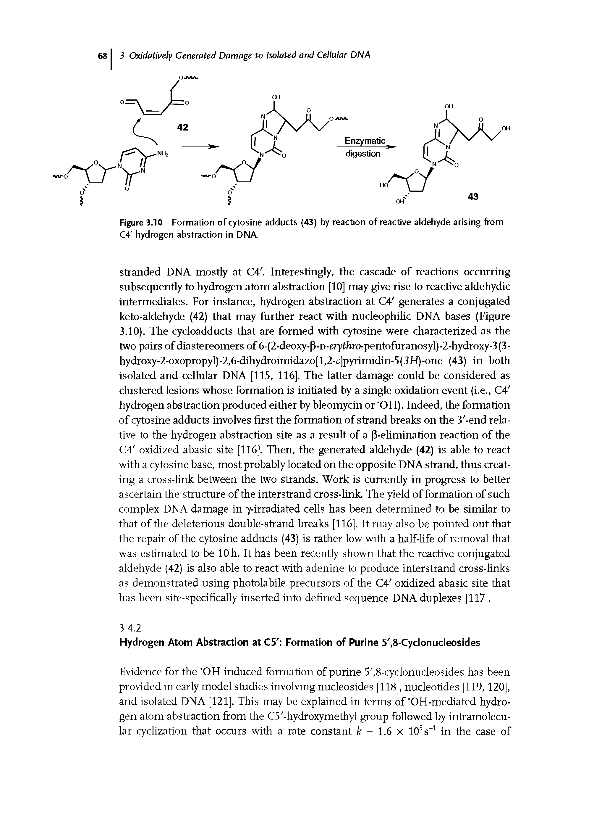 Figure 3.10 Formation of cytosine adducts (43) by reaction of reactive aldehyde arising from C4 hydrogen abstraction in DNA.
