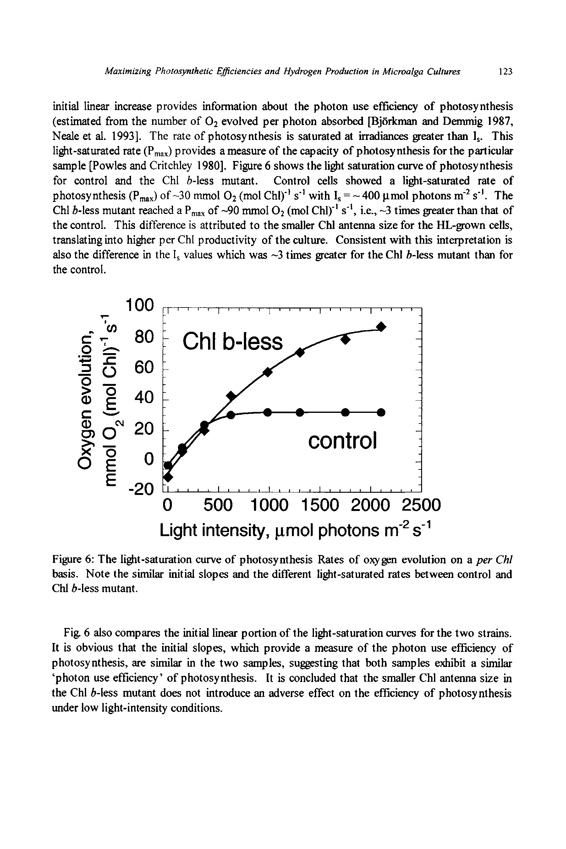 Figure 6 The light-saturation curve of photosynthesis Rates of oxygen evolution on a per Chi basis. Note the similar initial slopes and the different light-saturated rates between control and Chi A-less mutant.