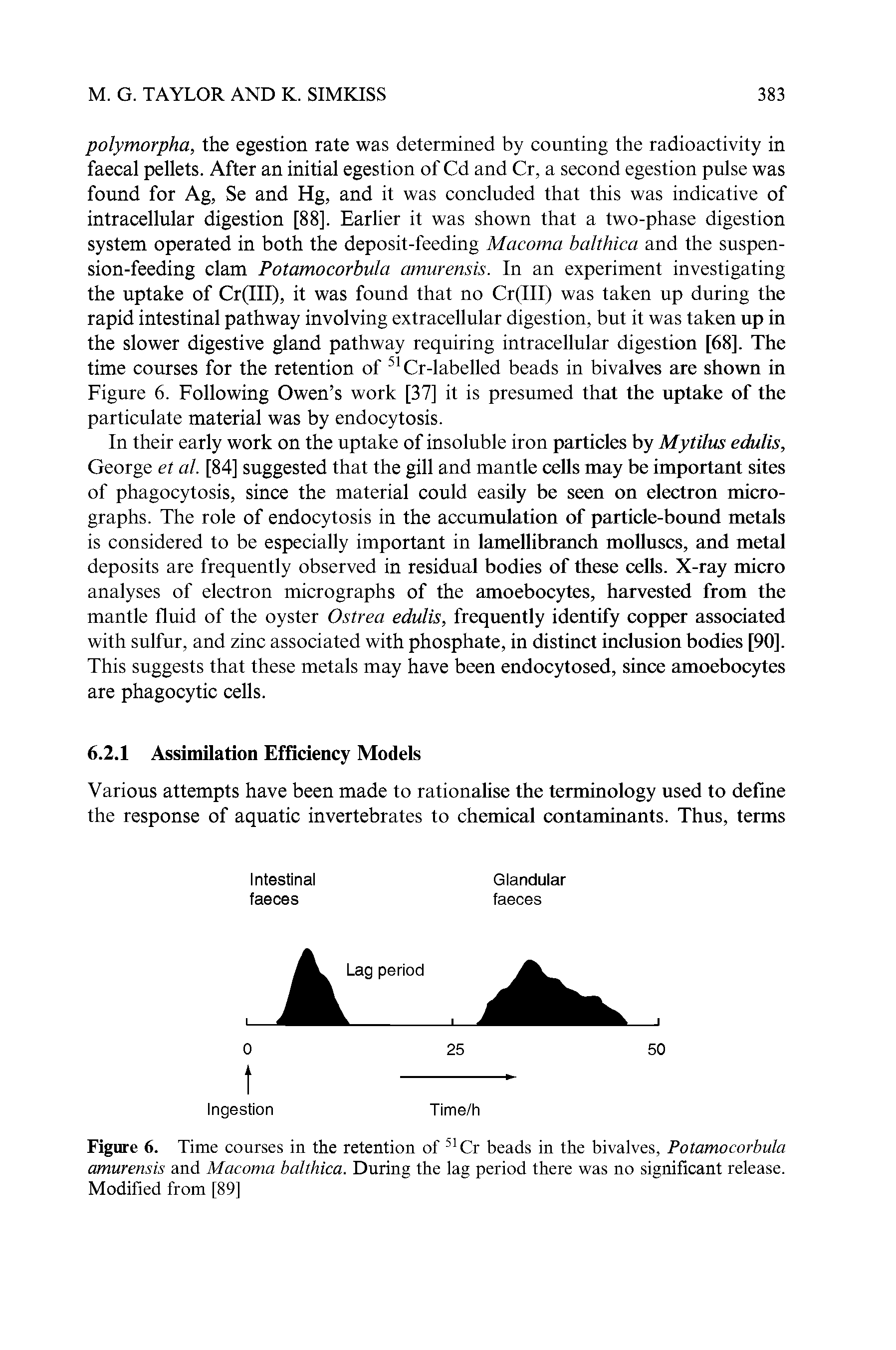 Figure 6. Time courses in the retention of 51 Cr beads in the bivalves, Potamocorbula amurensis and Macoma balthica. During the lag period there was no significant release. Modified from [89]...