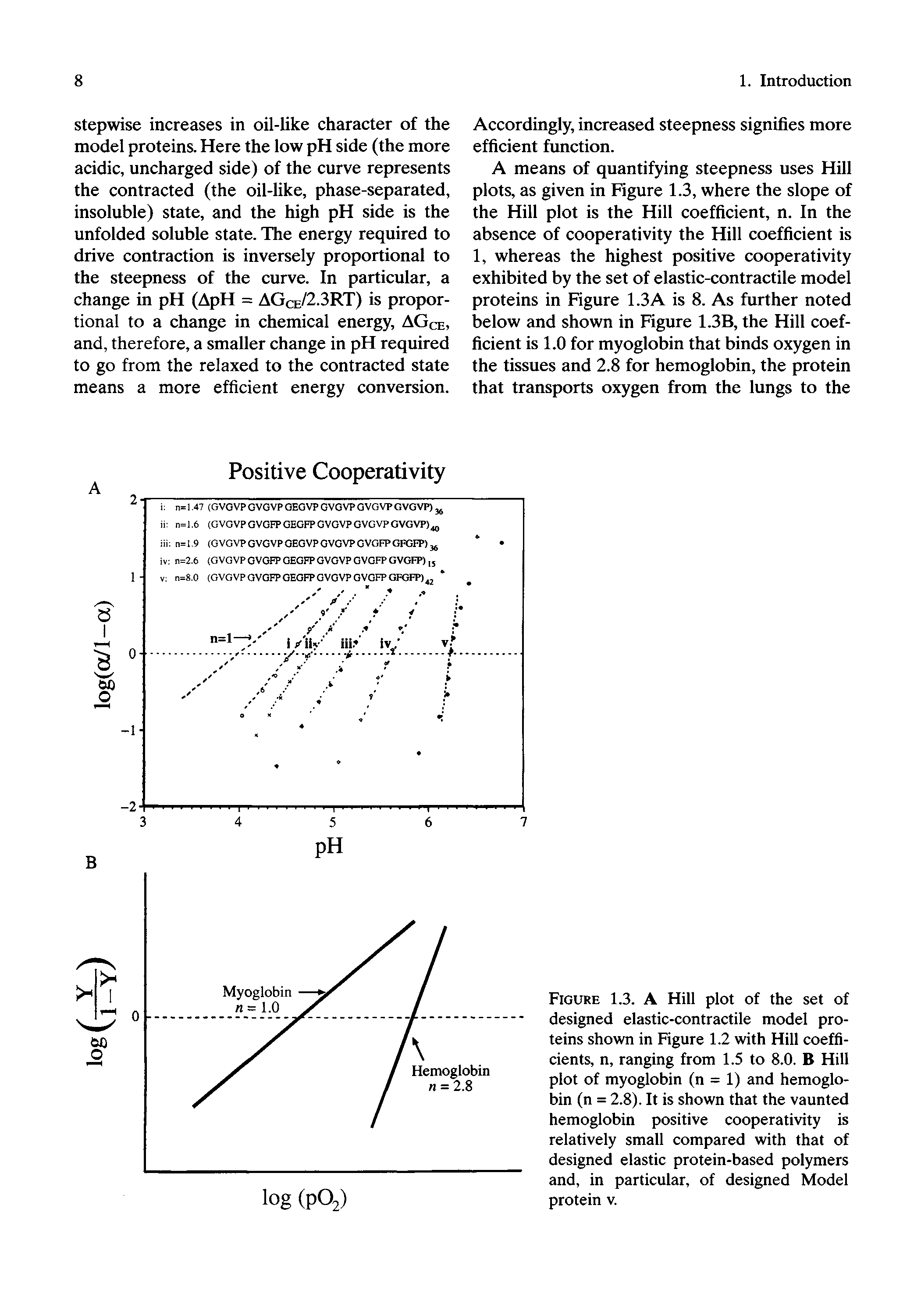 Figure 1.3. A Hill plot of the set of designed elastic-contractile model proteins shown in Figure 1.2 with Hill coefficients, n, ranging from 1.5 to 8.0. B Hill plot of myoglobin (n = 1) and hemoglobin (n = 2.8). It is shown that the vaunted hemoglobin positive cooperativity is relatively small compared with that of designed elastic protein-based polymers and, in particular, of designed Model protein v.