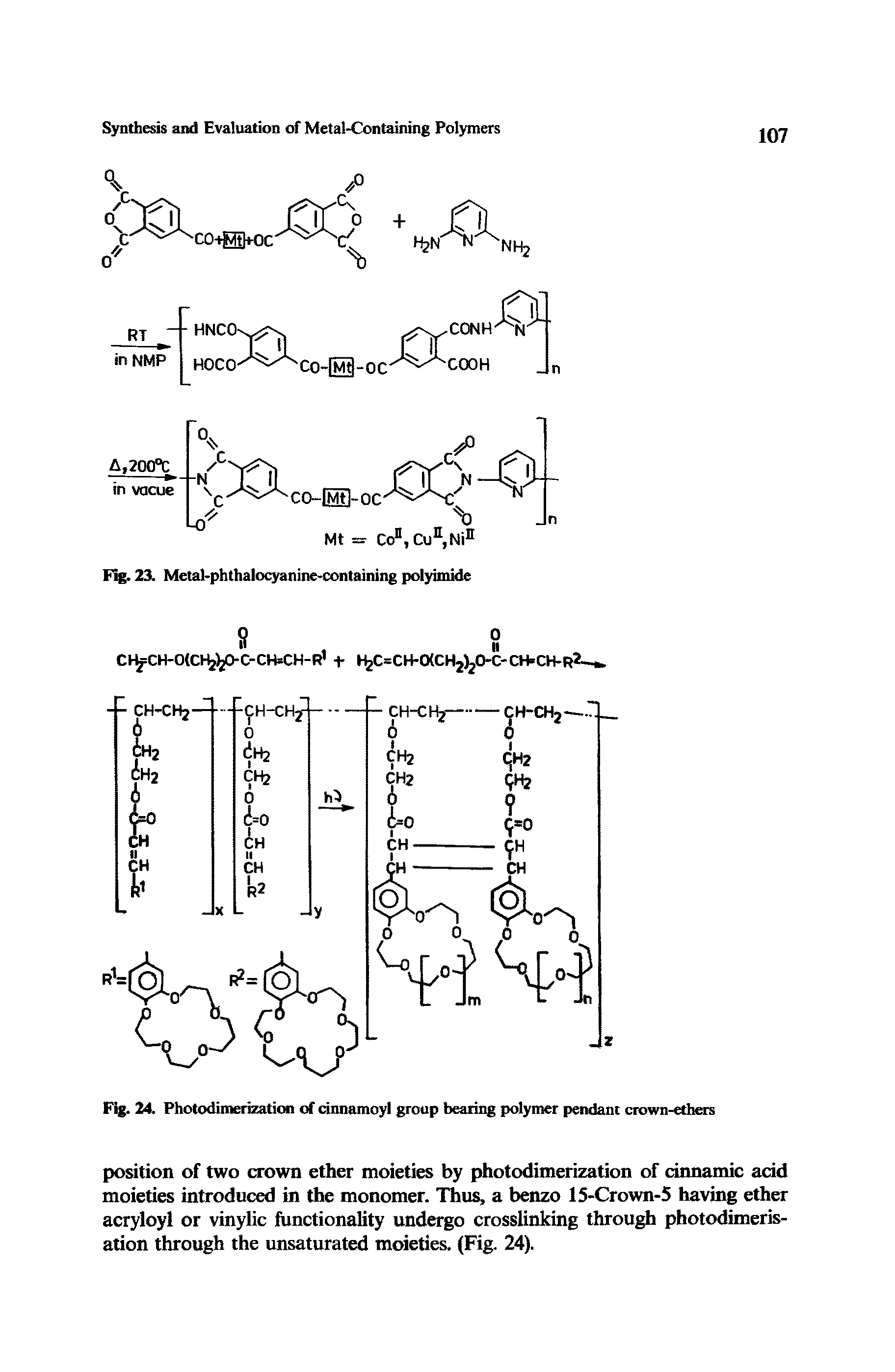 Fig. 24. Photodimerization of cinnamoyl group bearing polymer pendant crown-ethers...