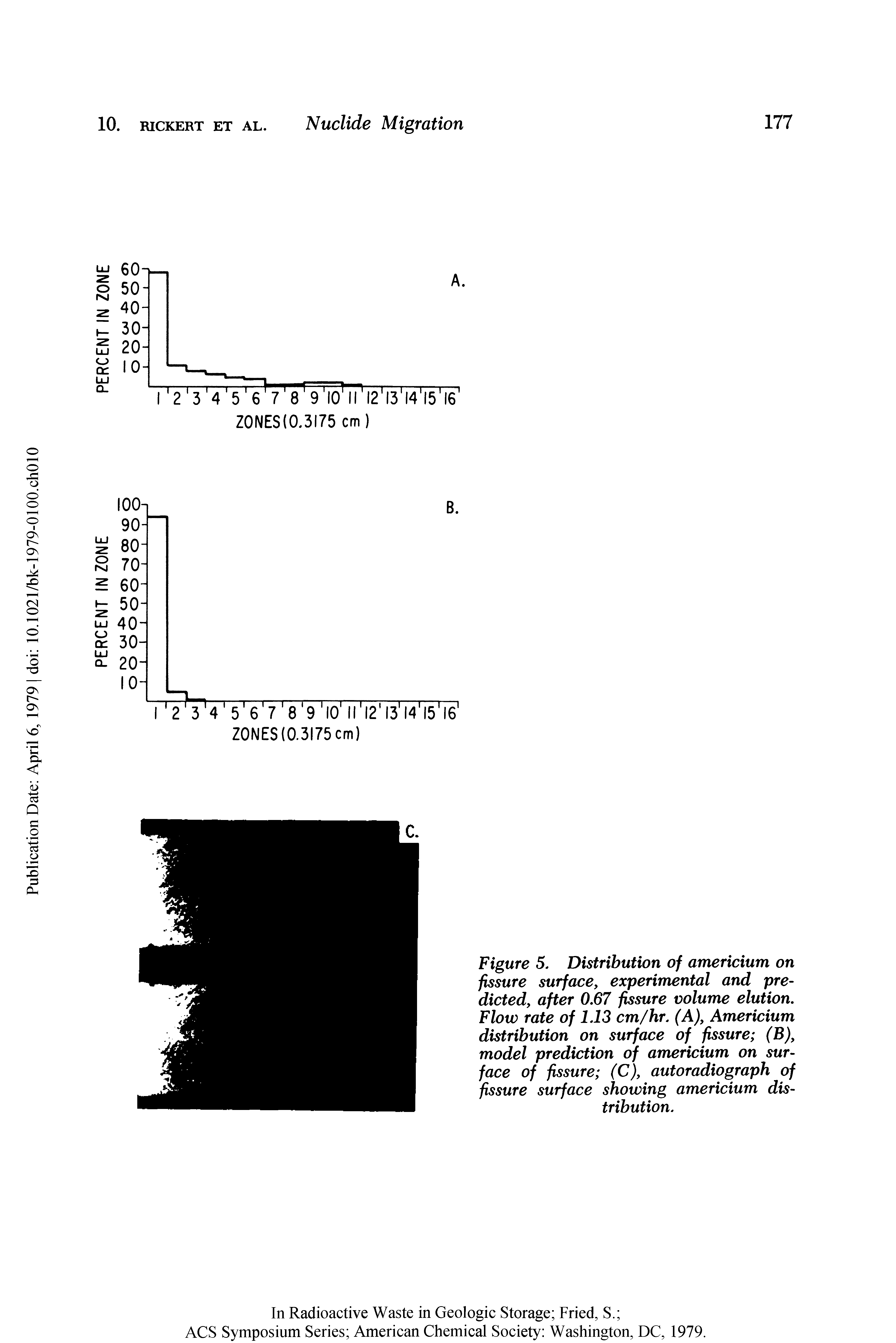 Figure 5. Distribution of americium on fissure surface, experimental and predicted, after 0.67 fissure volume elution. Flow rate of 1.13 cm/hr. (A), Americium distribution on surface of fissure (B), model prediction of americium on surface of fissure (C), autoradiograph of fissure surface showing americium distribution.