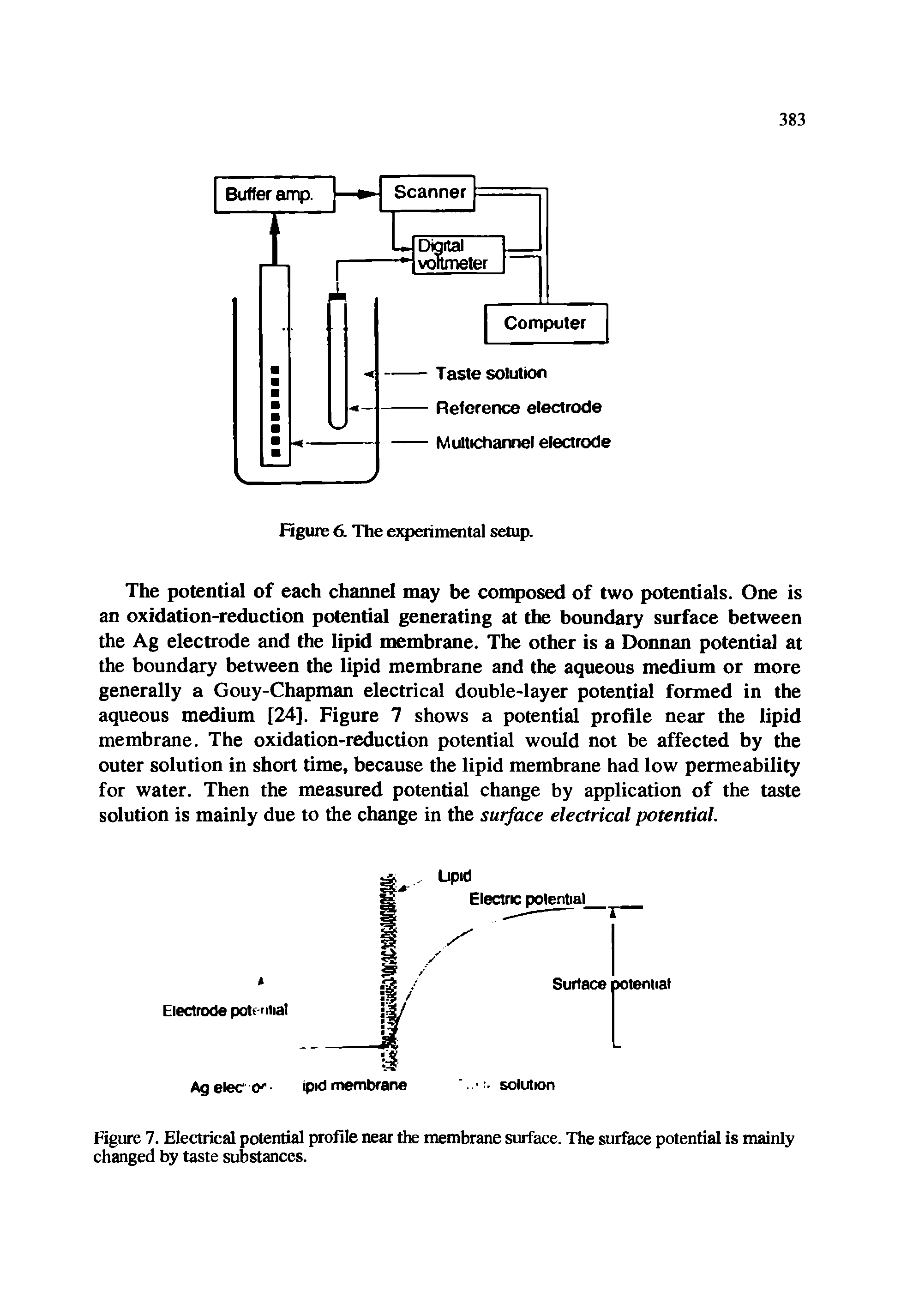 Figure 7. Electrical potential profile near the membrane surface. The surface potential is mainly changed by taste substances.