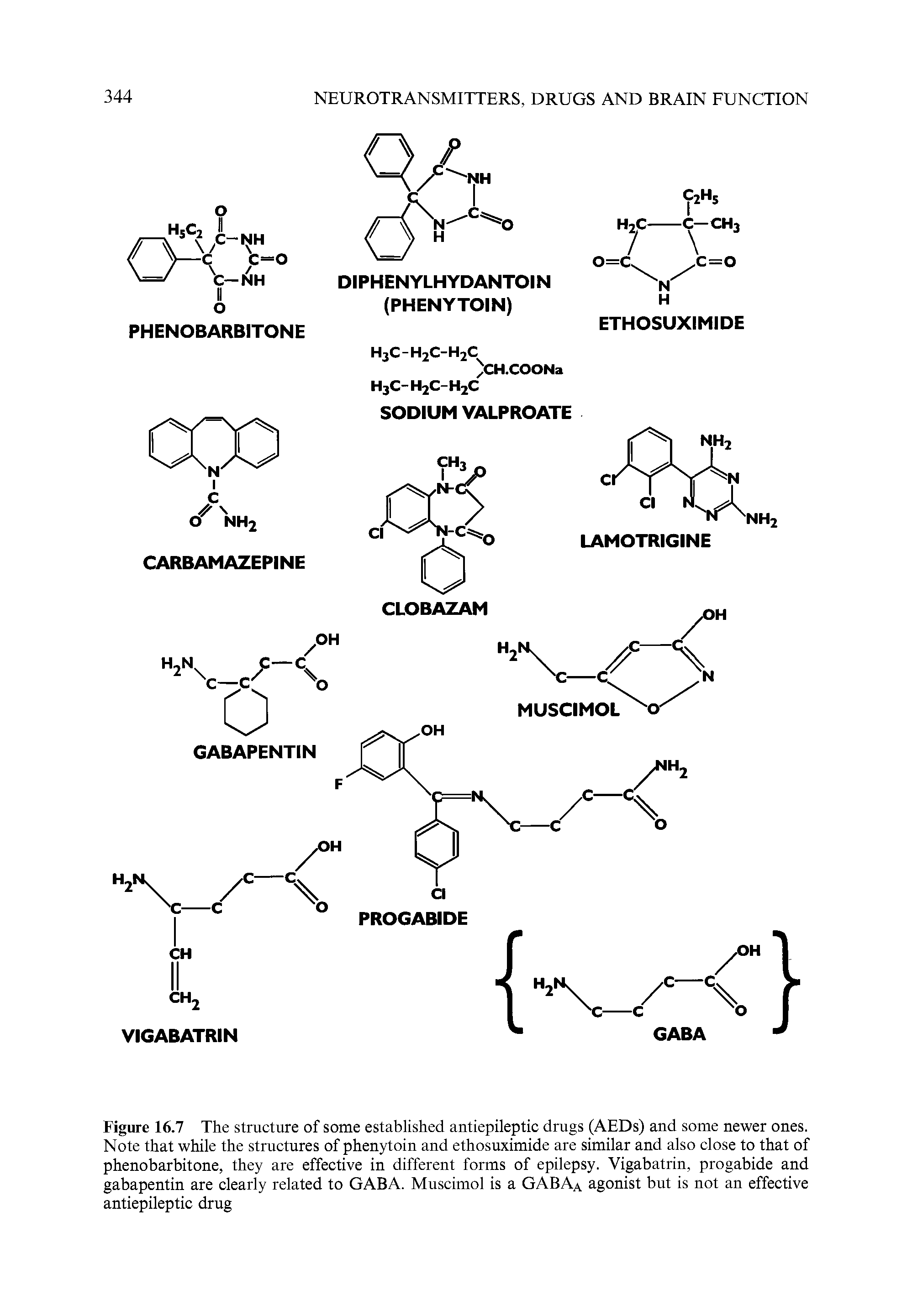 Figure 16.7 The structure of some established antiepileptic drugs (AEDs) and some newer ones. Note that while the structures of phenytoin and ethosuximide are similar and also close to that of phenobarbitone, they are effective in different forms of epilepsy. Vigabatrin, progabide and gabapentin are clearly related to GABA. Muscimol is a GABAa agonist but is not an effective antiepileptic drug...