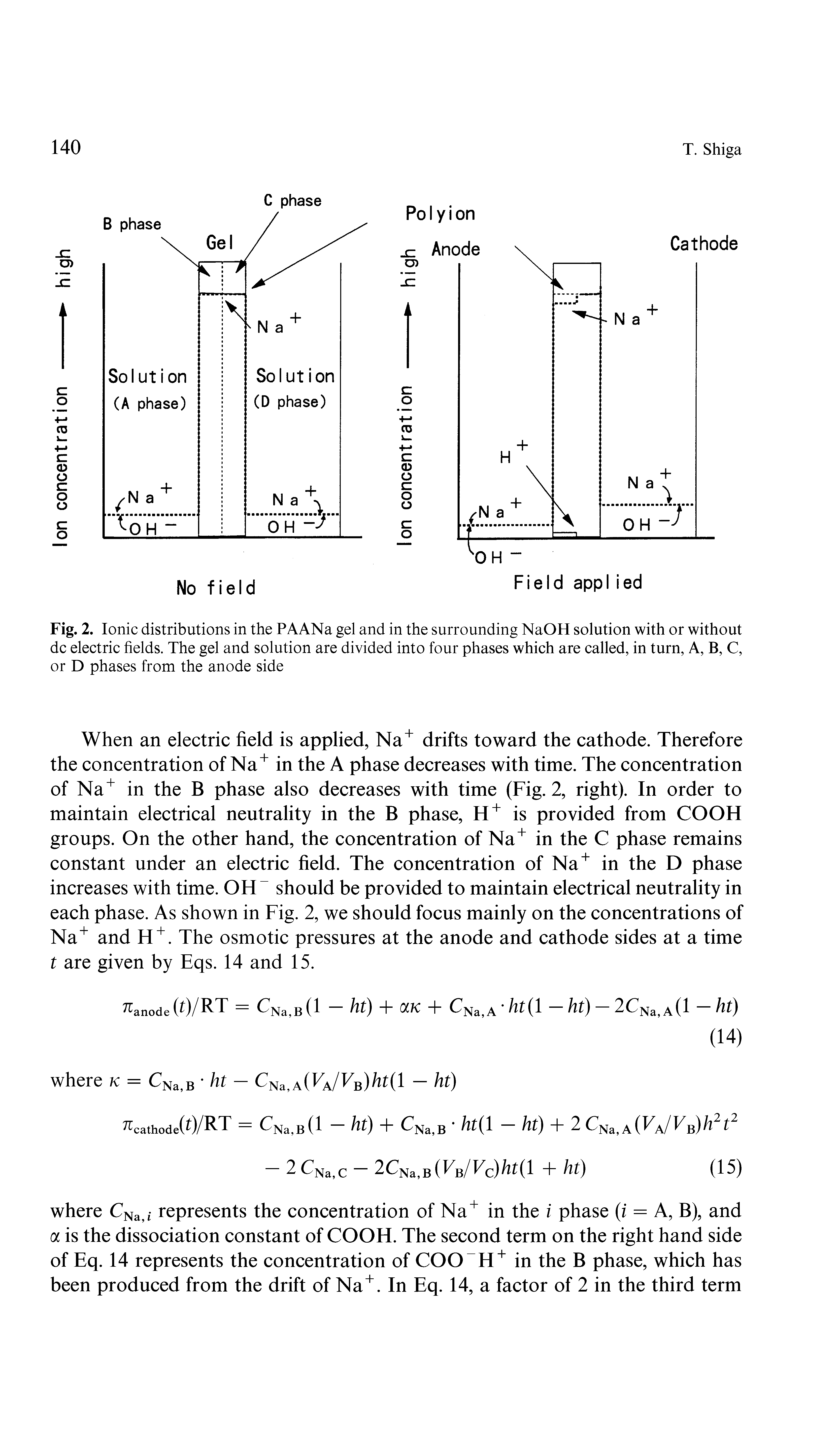Fig. 2. Ionic distributions in the PAANa gel and in the surrounding NaOH solution with or without dc electric fields. The gel and solution are divided into four phases which are called, in turn, A, B, C, or D phases from the anode side...