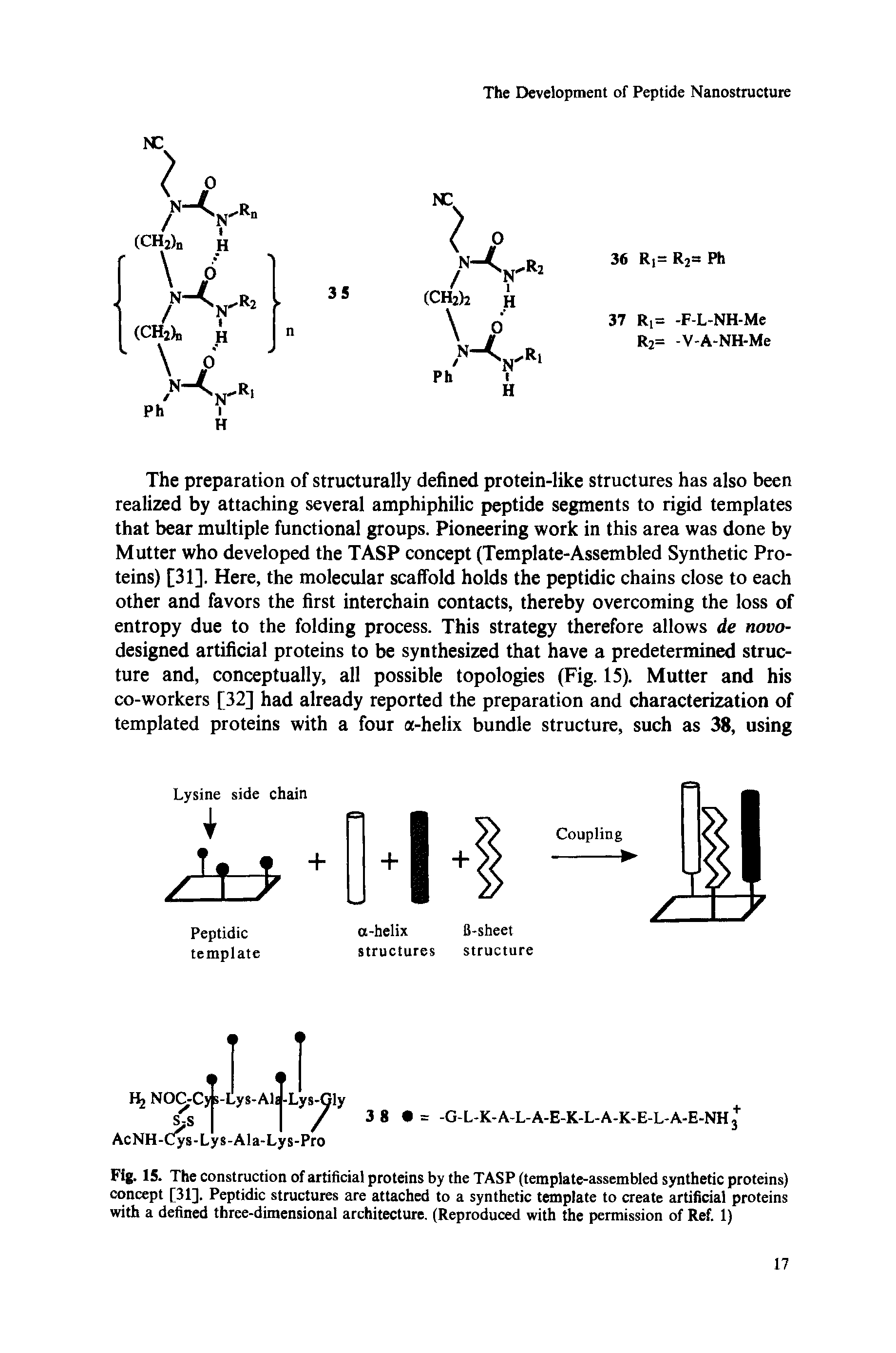 Fig. 15. The construction of artificial proteins by the TASP (template-assembled synthetic proteins) concept [31]. Peptidic structures are attached to a synthetic template to create artificial proteins with a defined three-dimensional architecture. (Reproduced with the permission of Ref. 1)...