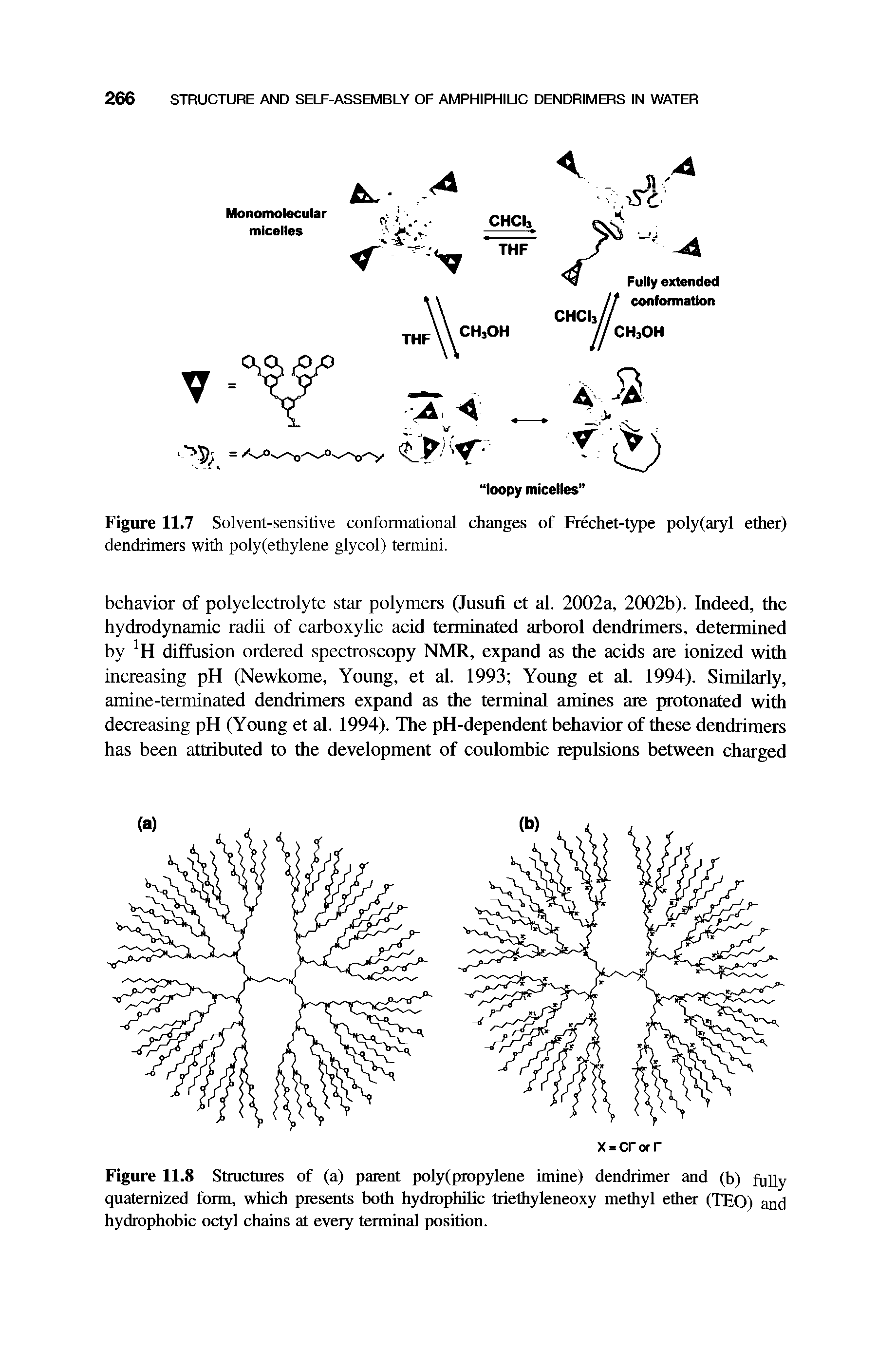 Figure 11.8 Stmctuies of (a) patent poly(piopylene imine) dendrimer and (h) fully quaternized form, which presents hoth hydrophilic triethyleneoxy methyl ether (TEO) and hydrophobic octyl chains at every terminal position.