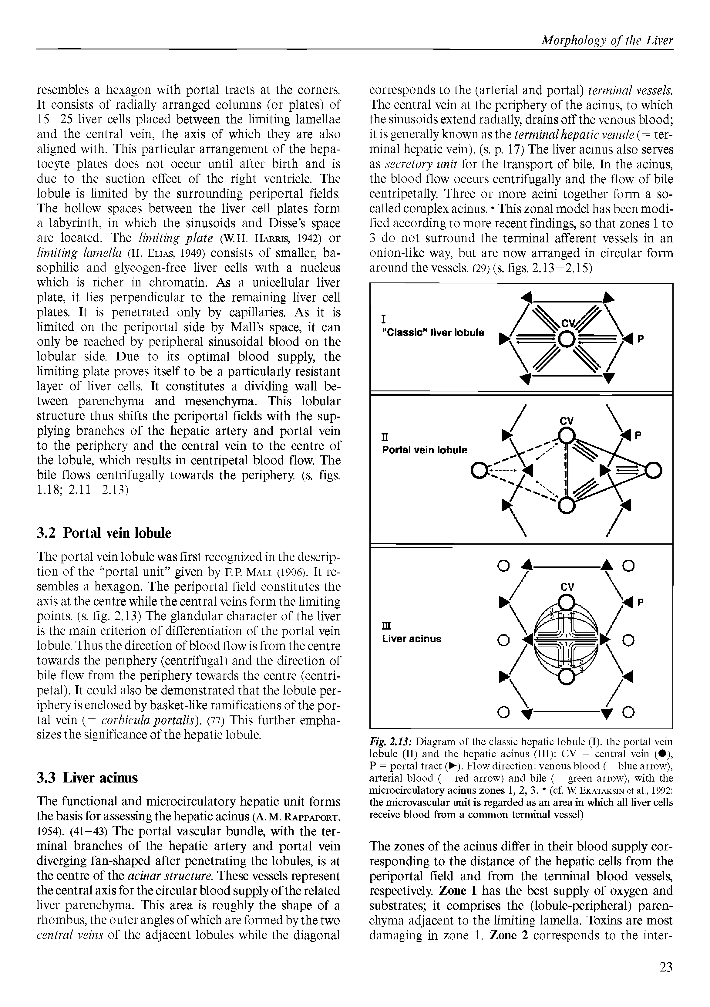 Fig. 2.13 Diagram of the classic hepatic lobule (I), the portal vein lobule (II) and the hepatic acinus (III) CV = central vein ( ), P = portal tract ( ). Flow direction venous blood (= blue arrow), arterial blood (= red arrow) and bile (= green arrow), with the microcirculatory acinus zones 1, 2, 3. (cf. W Ekataksin et af, 1992 the microvascular unit is regarded as an area in which all hver cells receive blood from a common terminal vessel)...