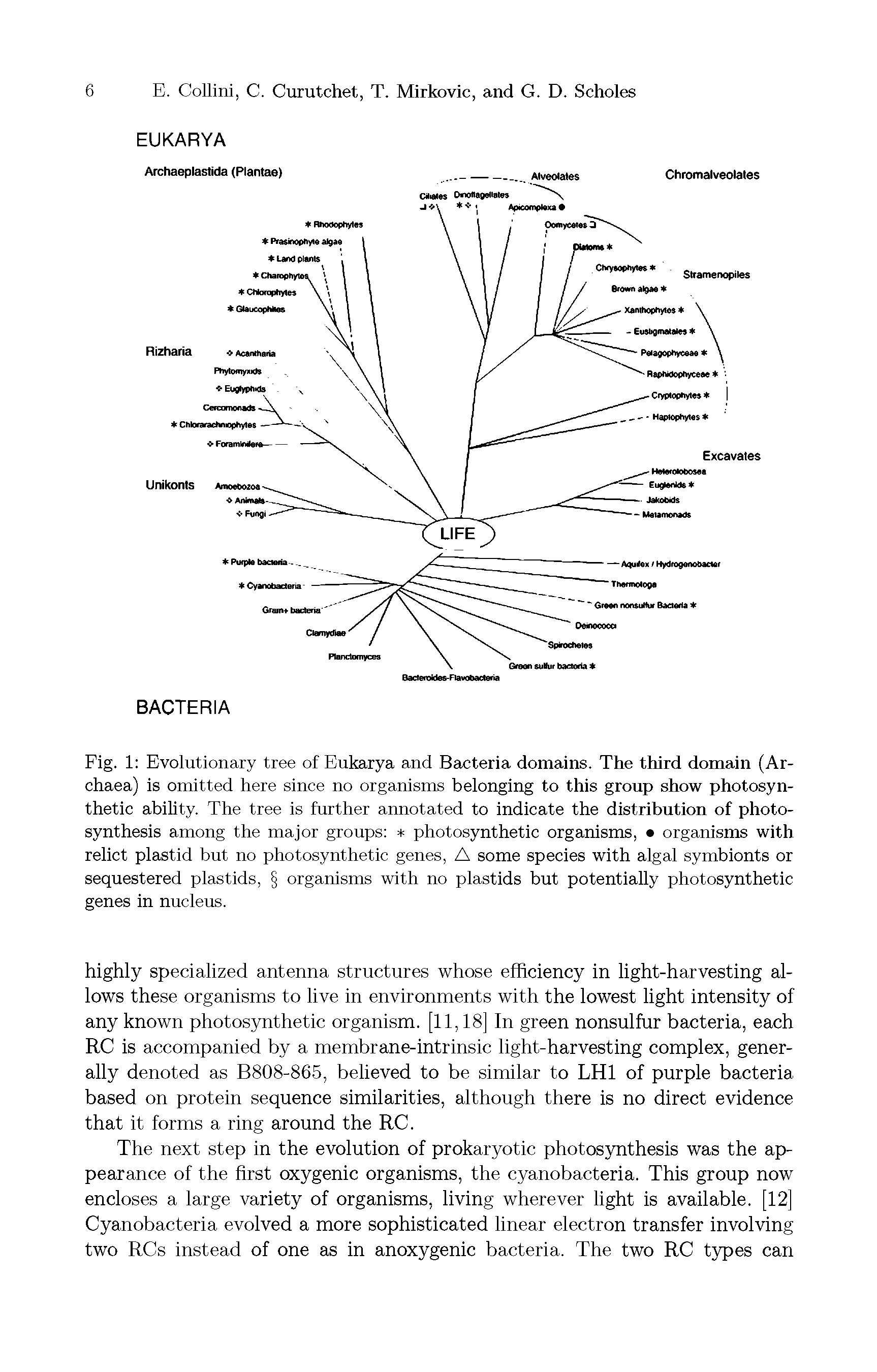 Fig. 1 Evolutionary tree of Eukarya and Bacteria domains. The third domain (Ar-chaea) is omitted here since no organisms belonging to this group show photosynthetic ability. The tree is further annotated to indicate the distribution of photosynthesis among the major groups photosynthetic organisms, organisms with relict plastid but no photosynthetic genes, A some species with algal symbionts or sequestered plastids, organisms with no plastids but potentially photosynthetic genes in nucleus.