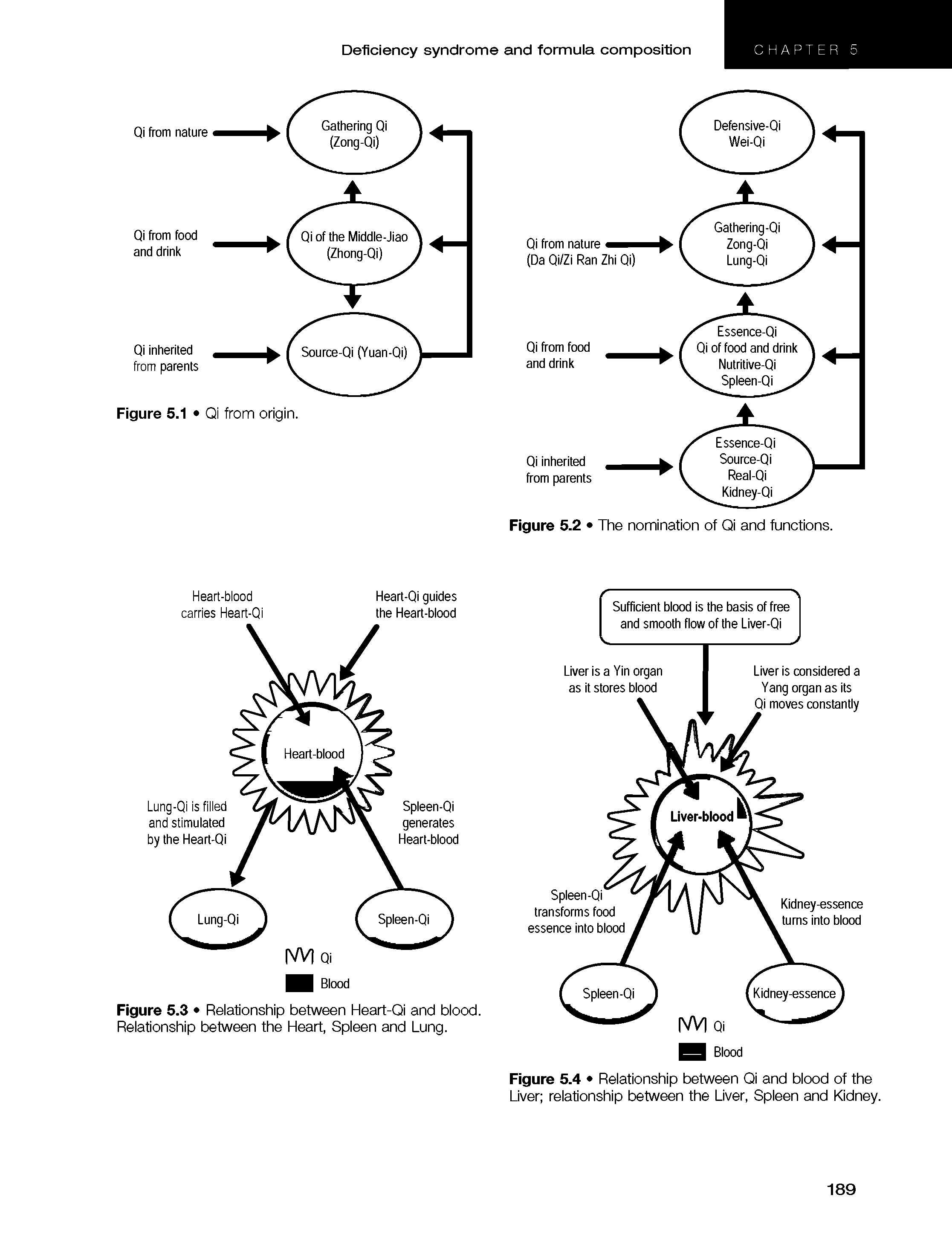 Figure 5.4 Relationship between Qi and blood of the Liver relationship between the Liver, Spleen and Kidney.