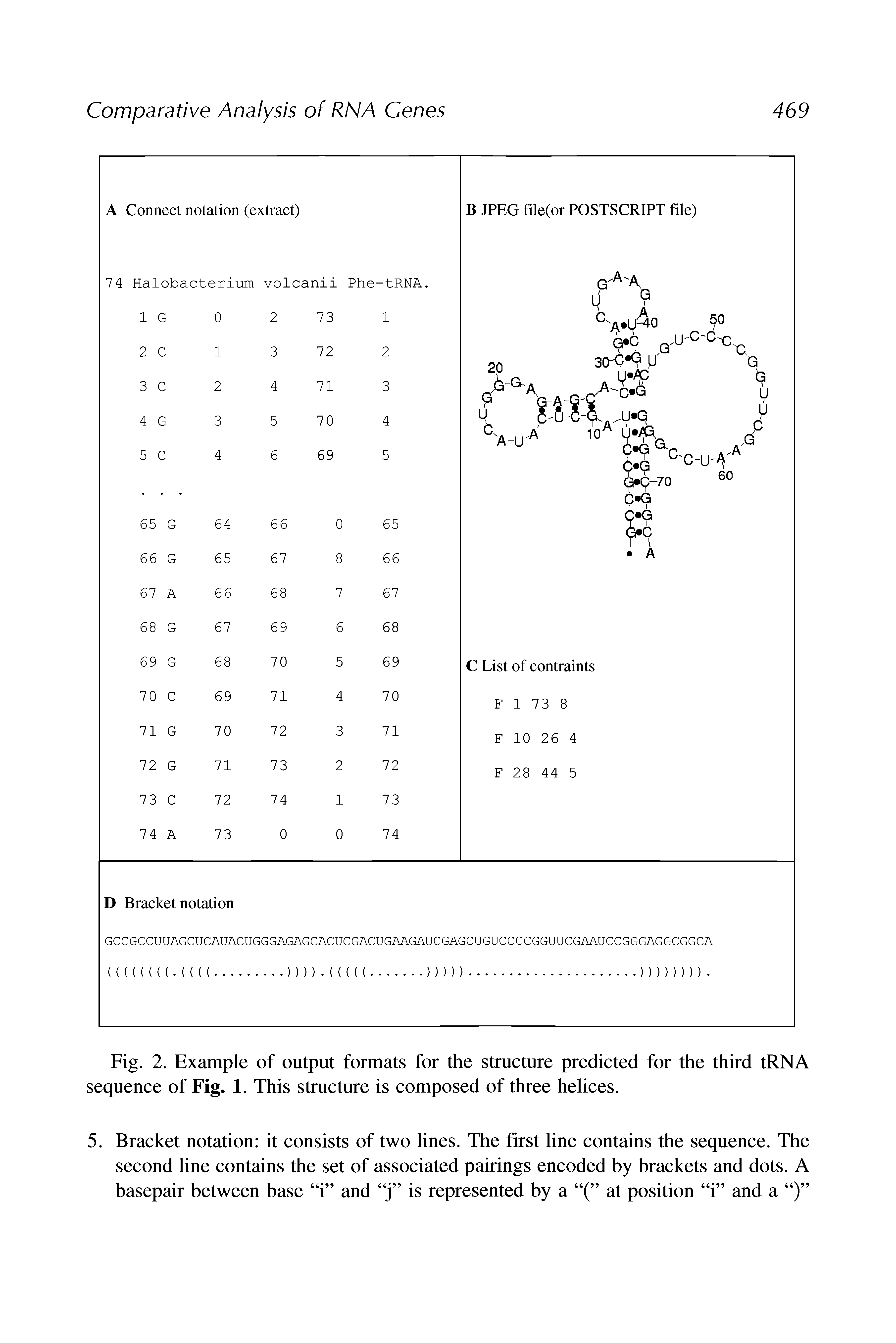 Fig. 2. Example of output formats for the structure predicted for the third tRNA sequence of Fig. 1. This structure is composed of three helices.