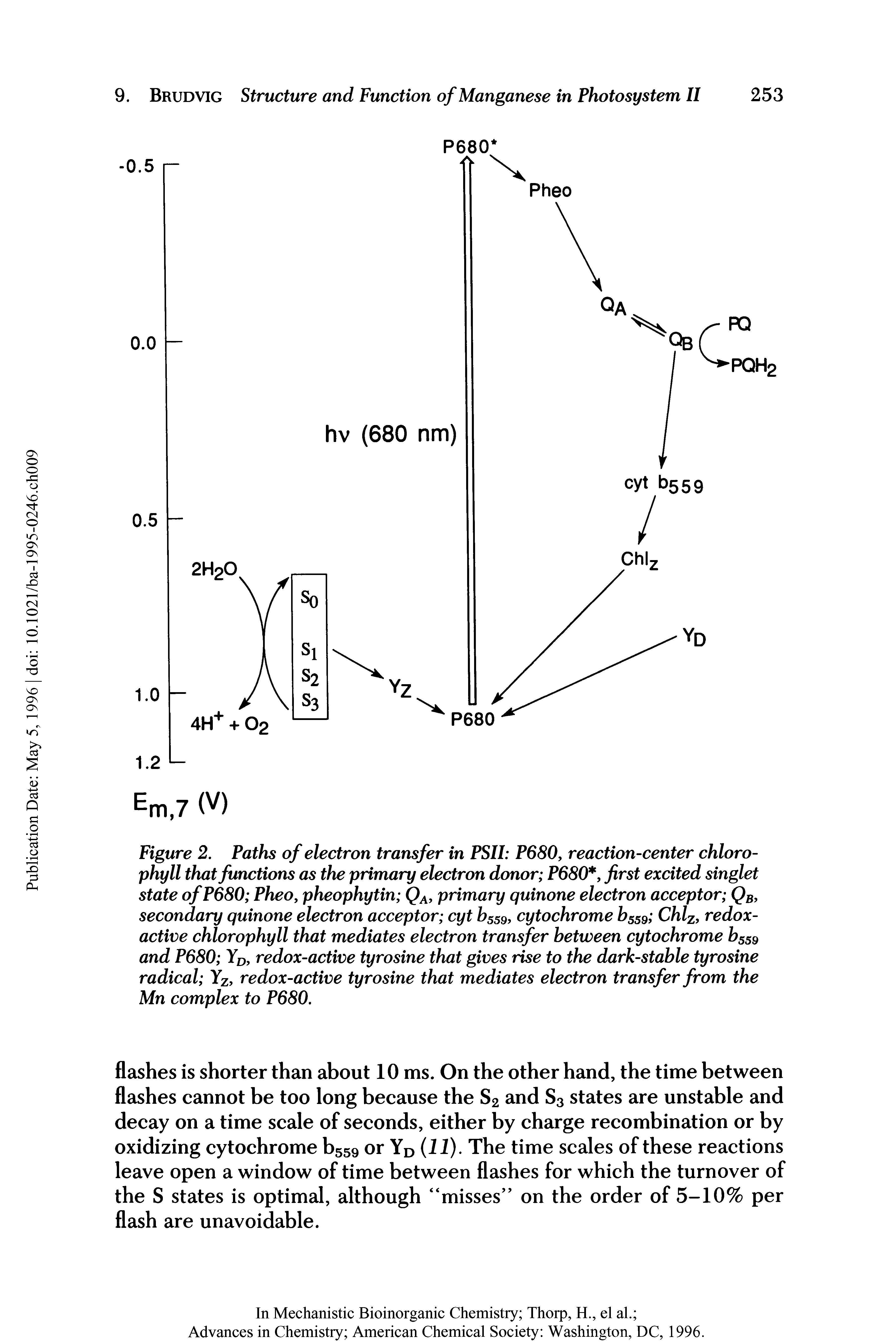 Figure 2. Paths of electron transfer in PSII P680, reaction-center chlorophyll that functions as the primary electron donor P680, first excited singlet state ofP680 Pheo, pheophytin QA, primary quinone electron acceptor QB, secondary quinone electron acceptor cyt b559, cytochrome b559 Chlz, redox-active chlorophyll that mediates electron transfer between cytochrome b559 and P680 YD, redox-active tyrosine that gives rise to the dark-stable tyrosine radical Yz, redox-active tyrosine that mediates electron transfer from the Mn complex to P680.