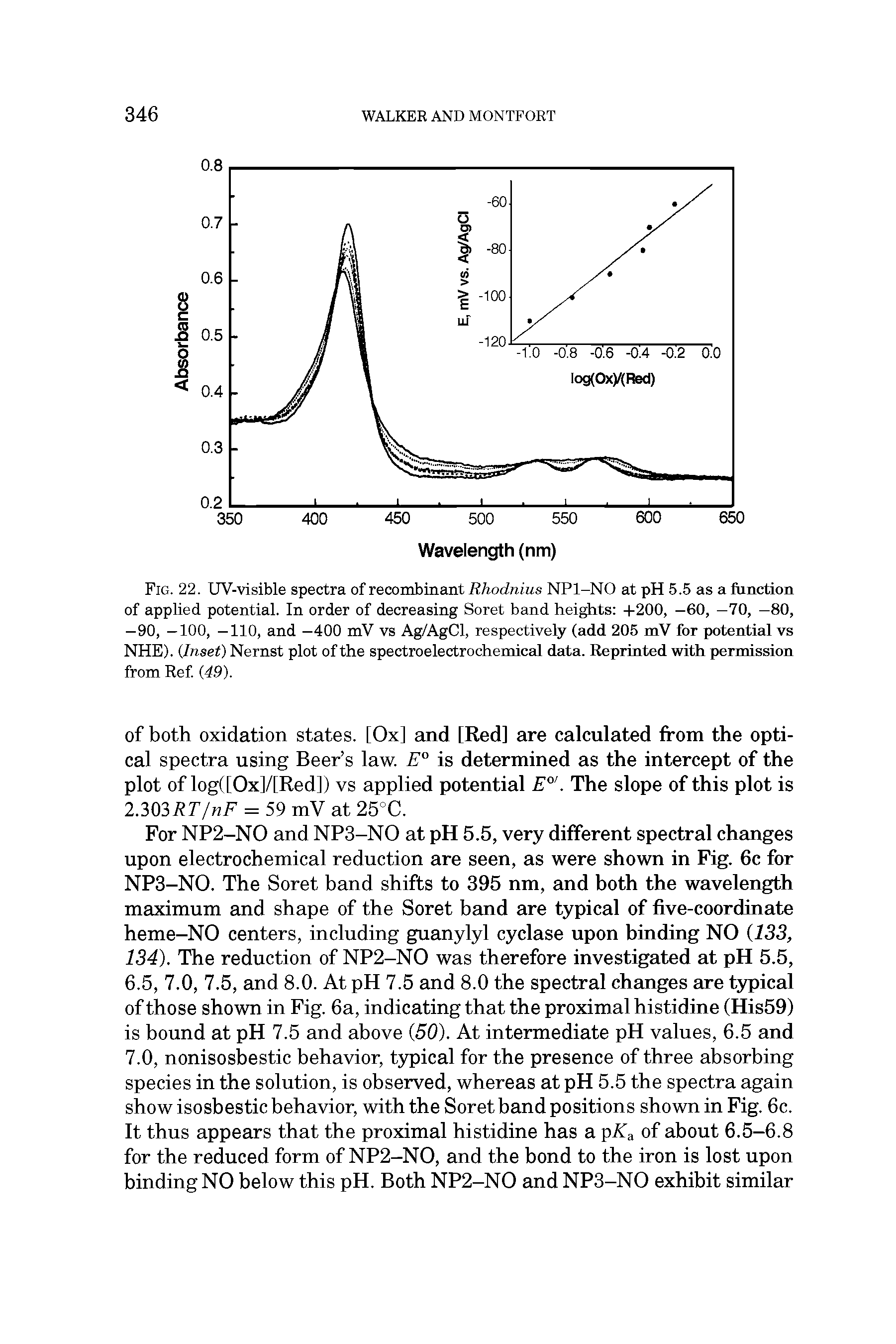 Fig. 22. UV-visible spectra of recombinant Rhodnius NPl-NO at pH 5.5 as a function of applied potential. In order of decreasing Soret band heights +200, —60, —70, —80, —90, —100, —110, and —400 mV vs Ag/AgCl, respectively (add 205 mV for potential vs NHE). Inset) Nernst plot of the spectroelectrochemicEil data. Reprinted with permission from Ref 49).