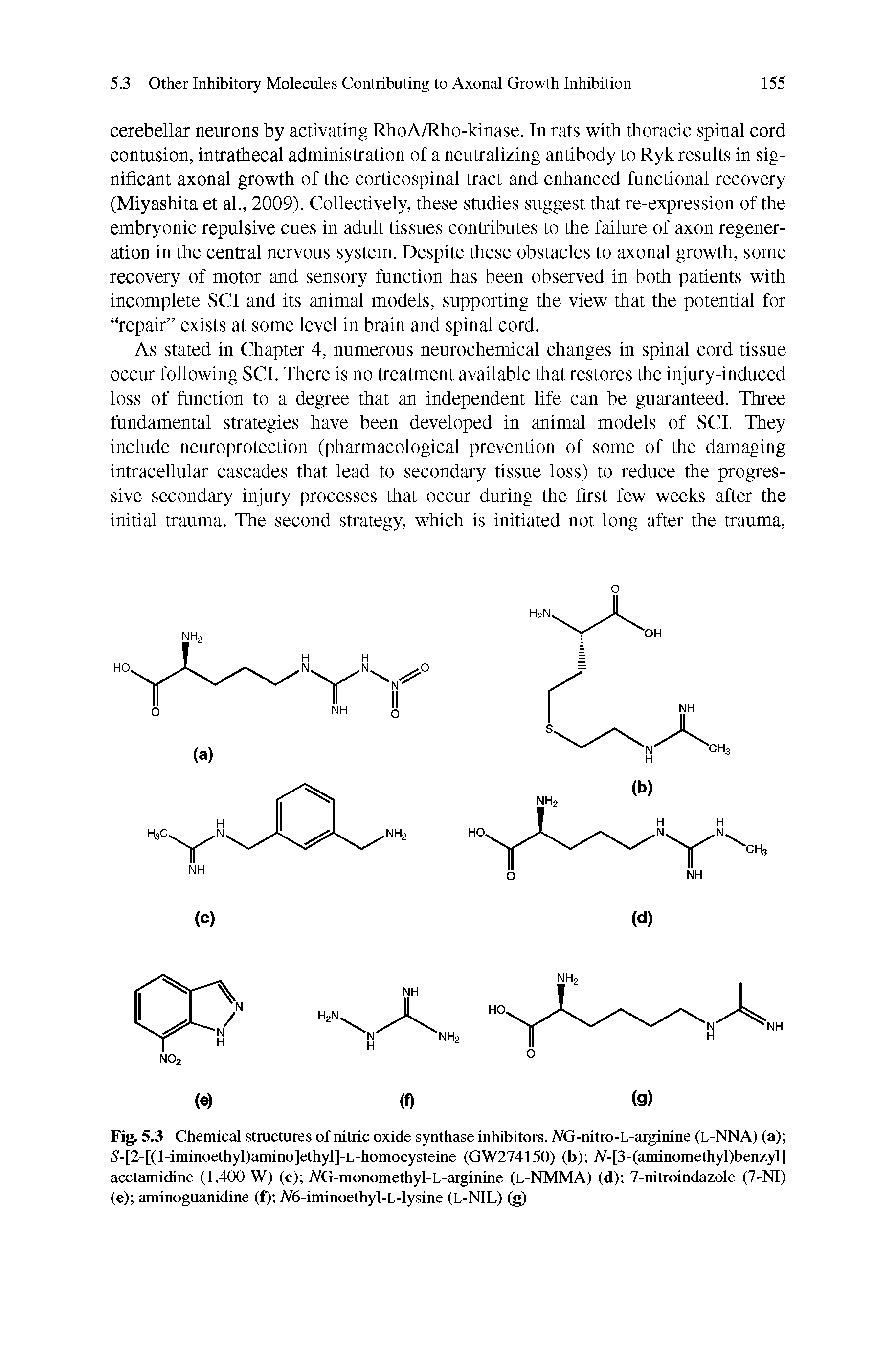 Fig. 5.3 Chemical structures of nitric oxide synthase inhibitors. Mj-nitro-L-arginine (L-NNA) (a) 5-[2-[(l-iminoethyl)amino]ethyl]-L-homocysteine (GW274150) (b) A-[3-(aminomethyl)benzyl] acetamidine (1,400 W) (c) AG-monomethyl-L-arginine (l-NMMA) (d) 7-nitroindazole (7-NI) (e) aminoguanidine (f) A6-iminoethyl-L-lysine (L-NIL) (g)...