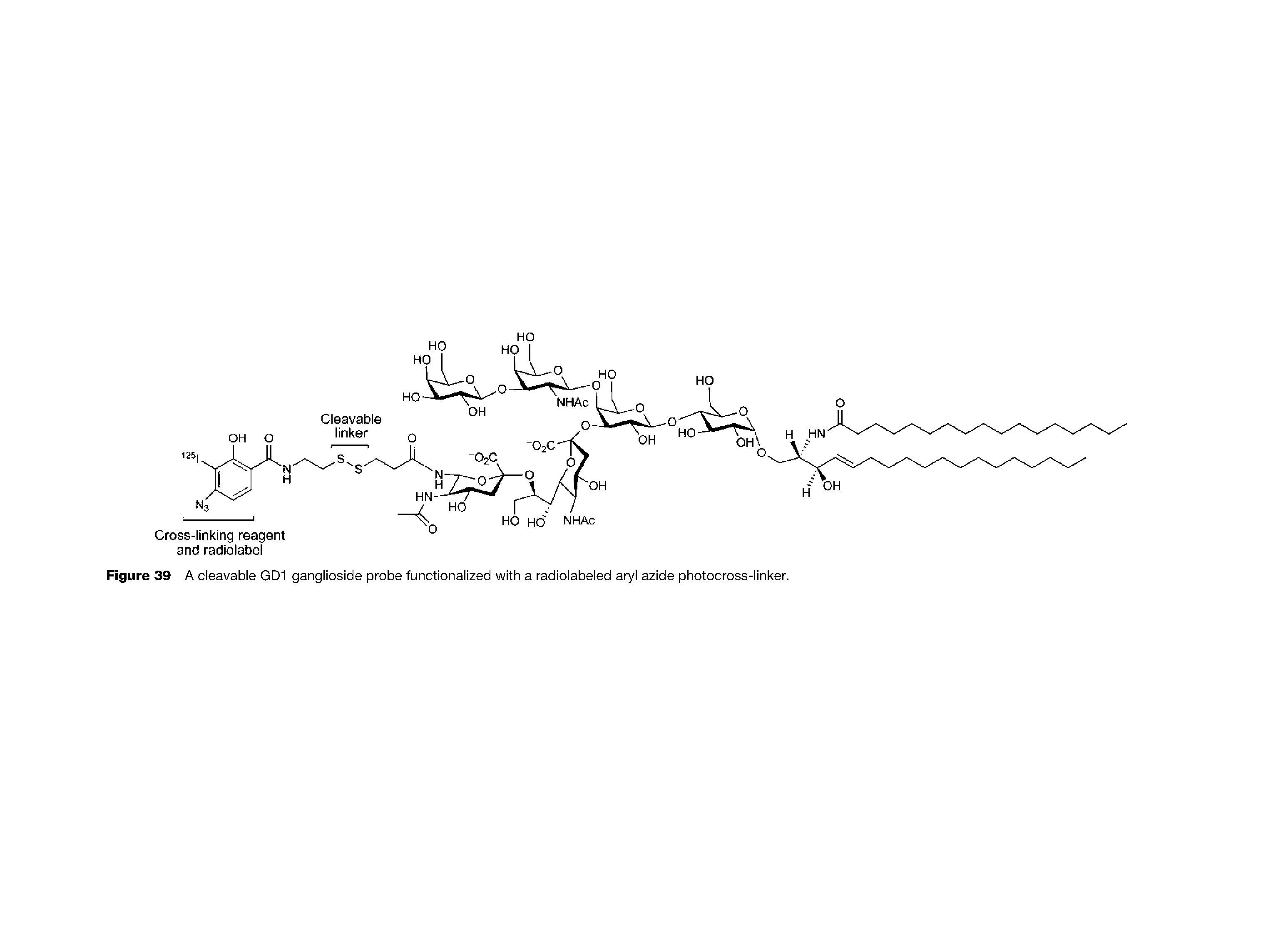 Figure 39 A cleavable GD1 ganglioside probe functionalized with a radiolabeled aryl azide photocross-linker.