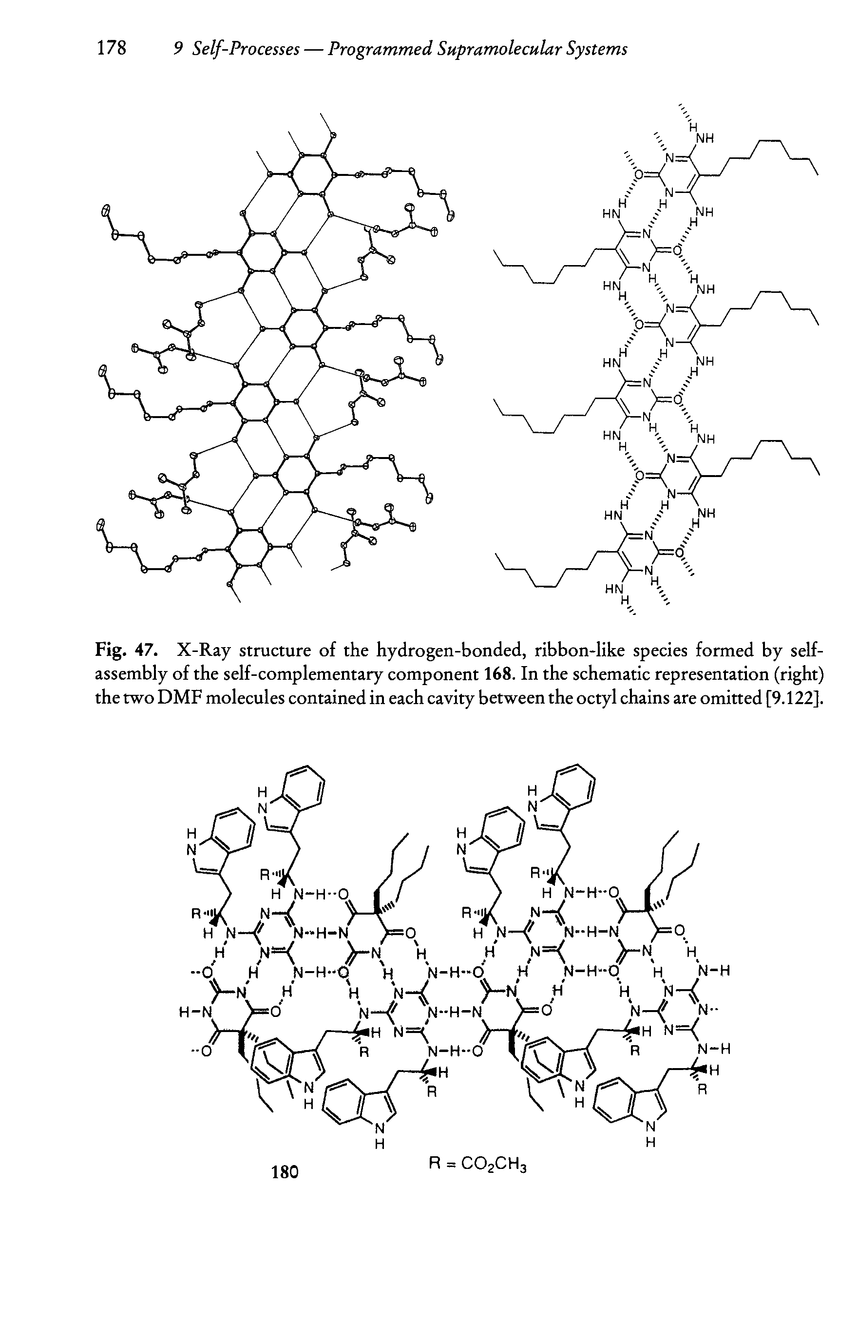 Fig. 47. X-Ray structure of the hydrogen-bonded, ribbon-like species formed by self-assembly of the self-complementary component 168. In the schematic representation (right) the two DMF molecules contained in each cavity between the octyl chains are omitted [9.122].