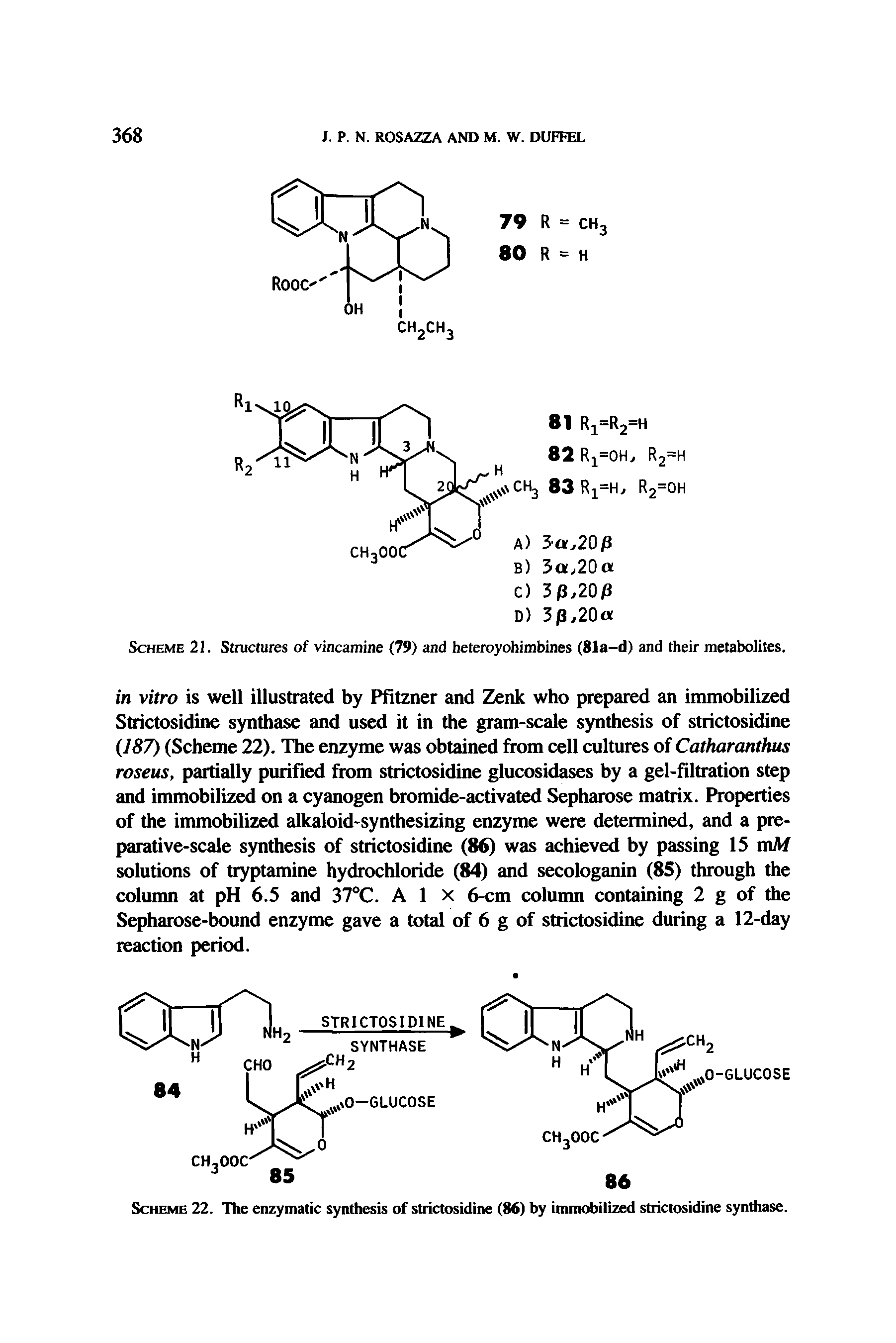 Scheme 22. The enzymatic synthesis of strictosidine (86) by immobilized strictosidine synthase.